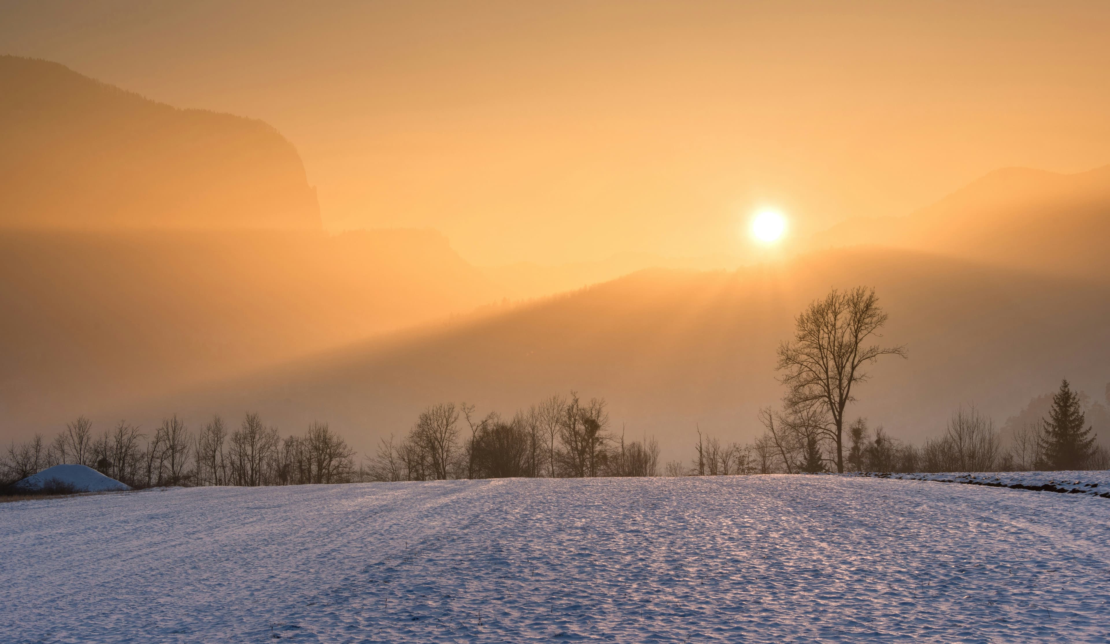 Winterse sneeuw of winterse zon: wat kies jij?