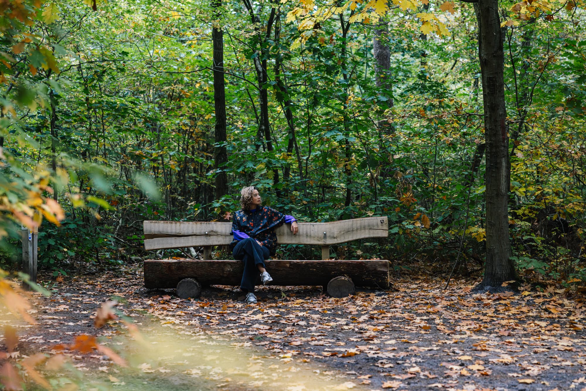 advertisement.image.alt