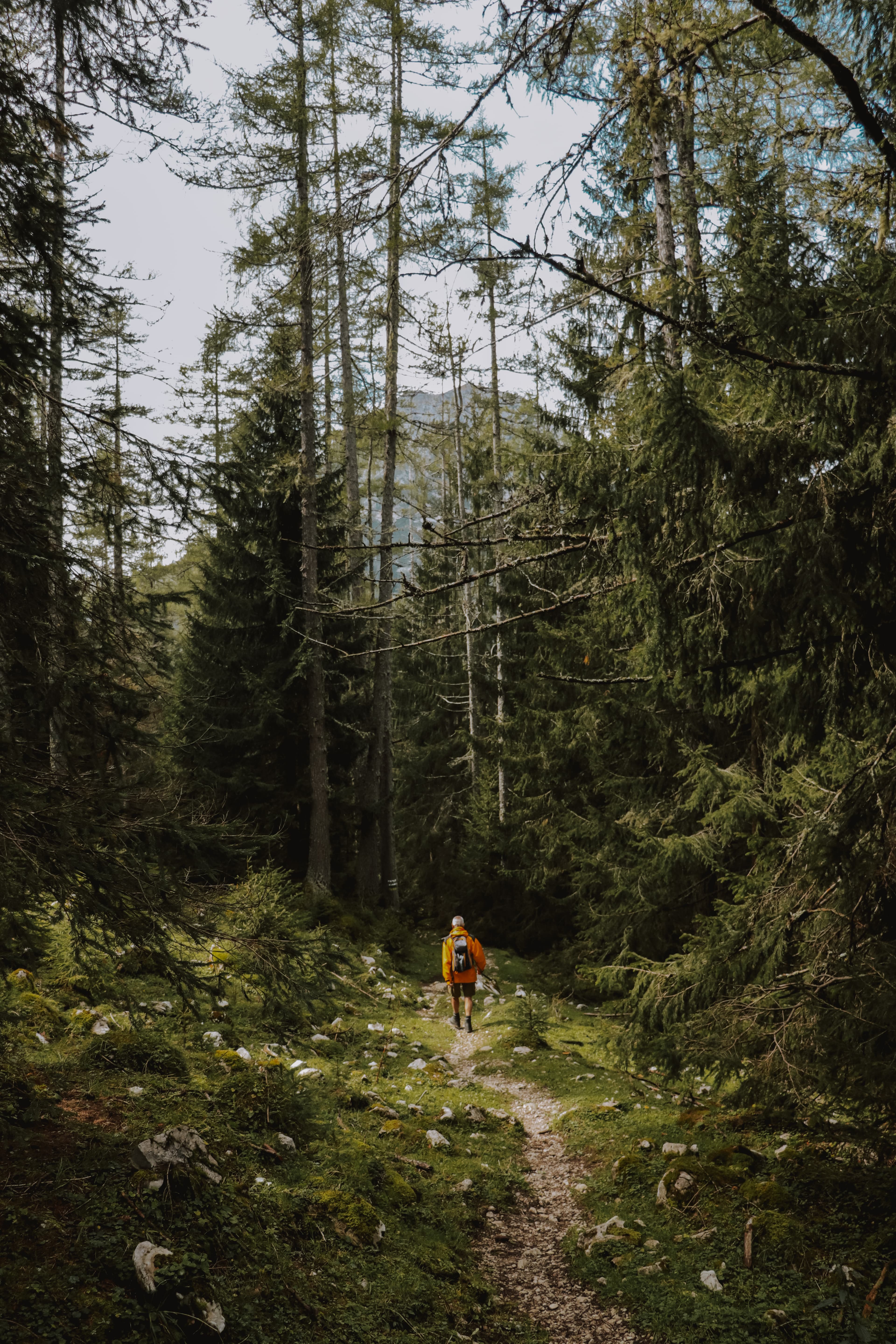 Short circular hike to Bachlalm