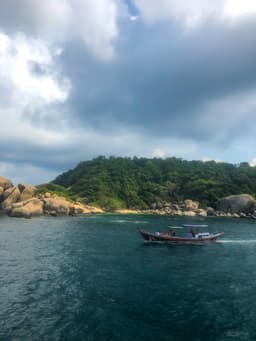 Snorkling kinda day 🤿