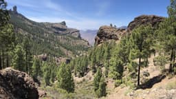 Journée de randonnée pittoresque à Gran Canaria