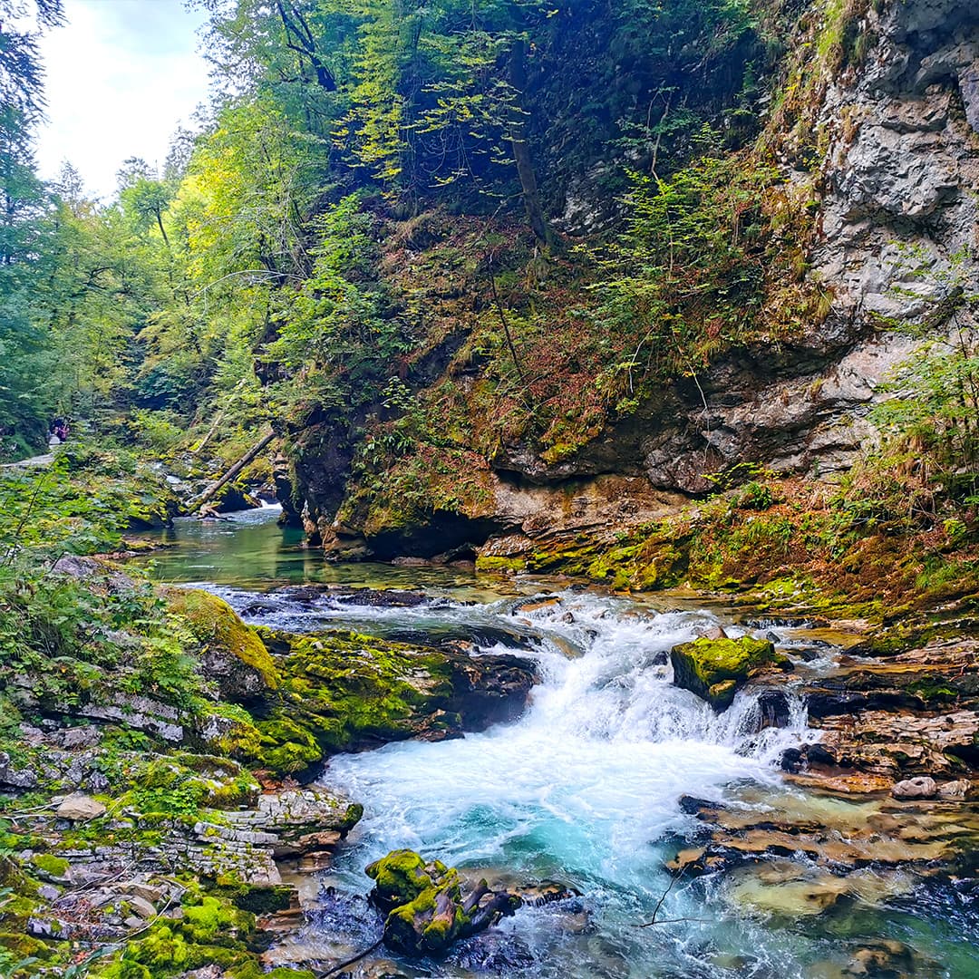 Vintgar gorge: everything you need to know (tickets, route & parking)
