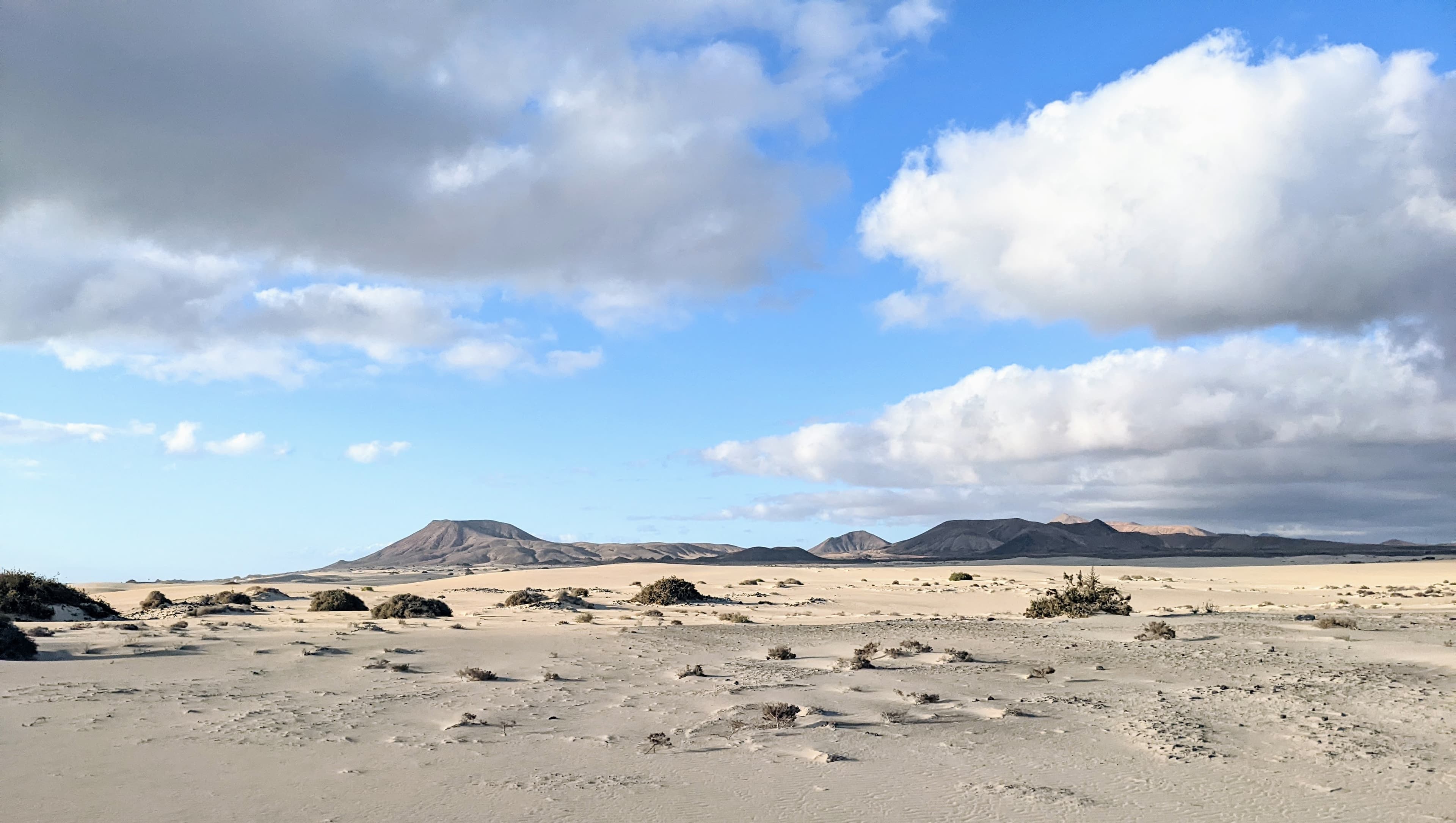 Family Holidays in Fuerteventura: Practical Tips & Favorite Spots