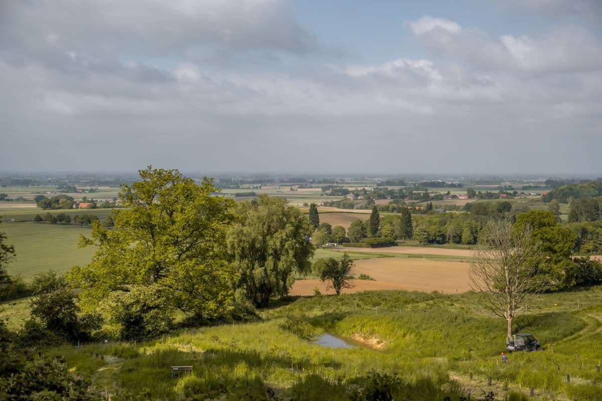Bezoek aan Musée De Flandre: Dagtrip naar Cassel, Frankrijk