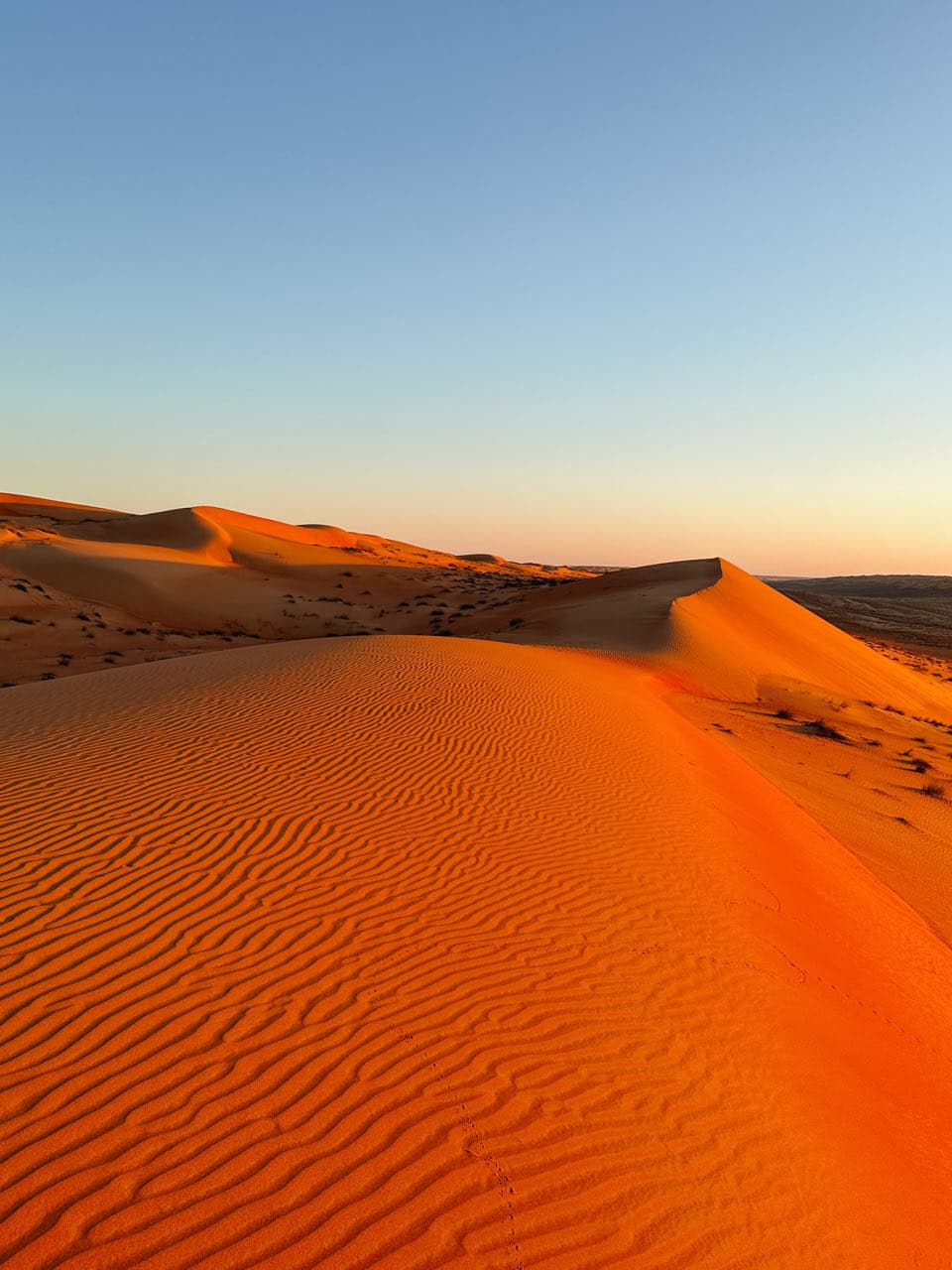 Ultimate road trip in Oman