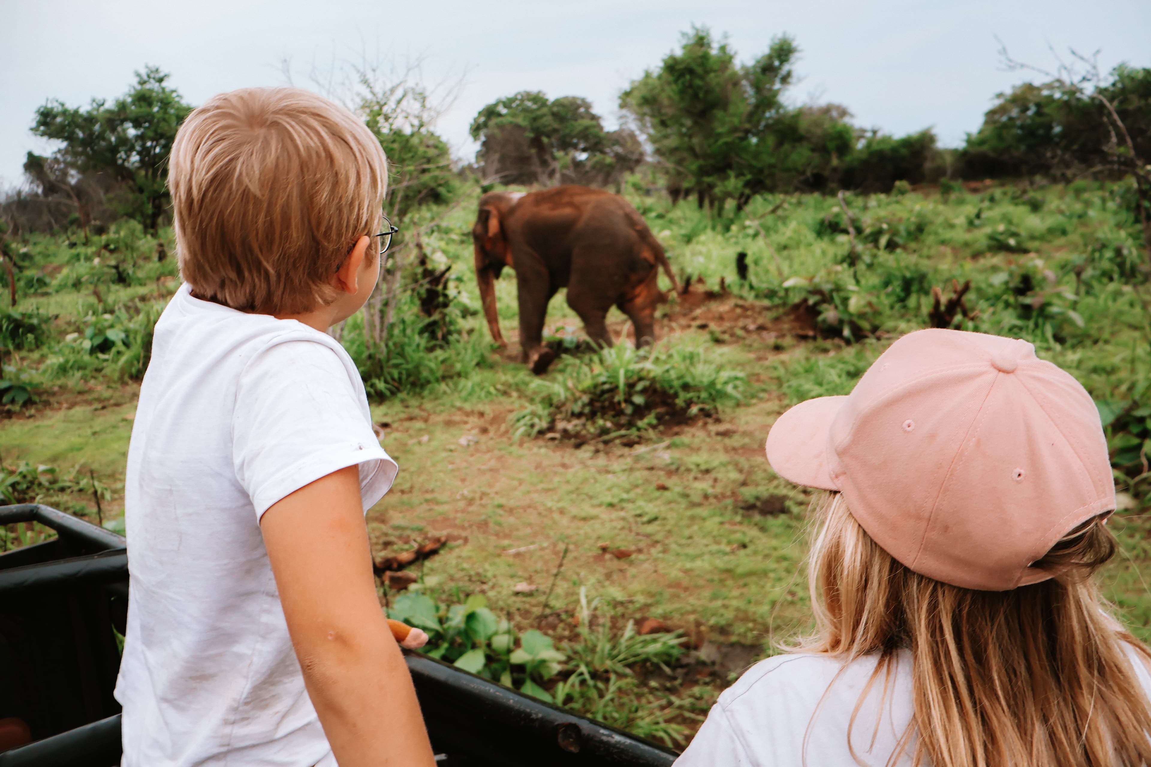 Klim Lion Rock en Safari