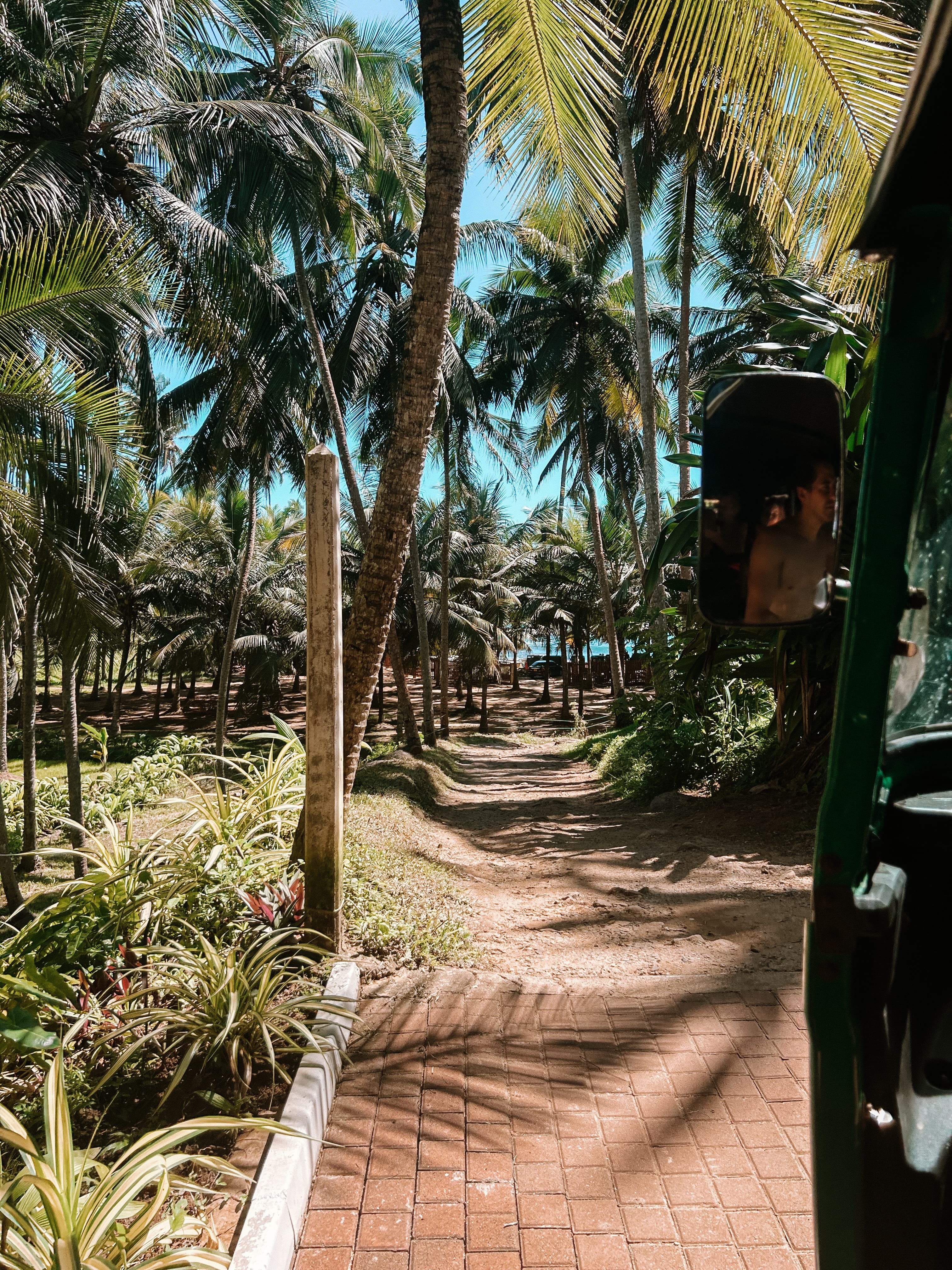 Explore captivating beach at the South