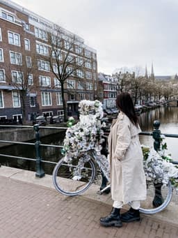Passez la journée dans la belle Amsterdam