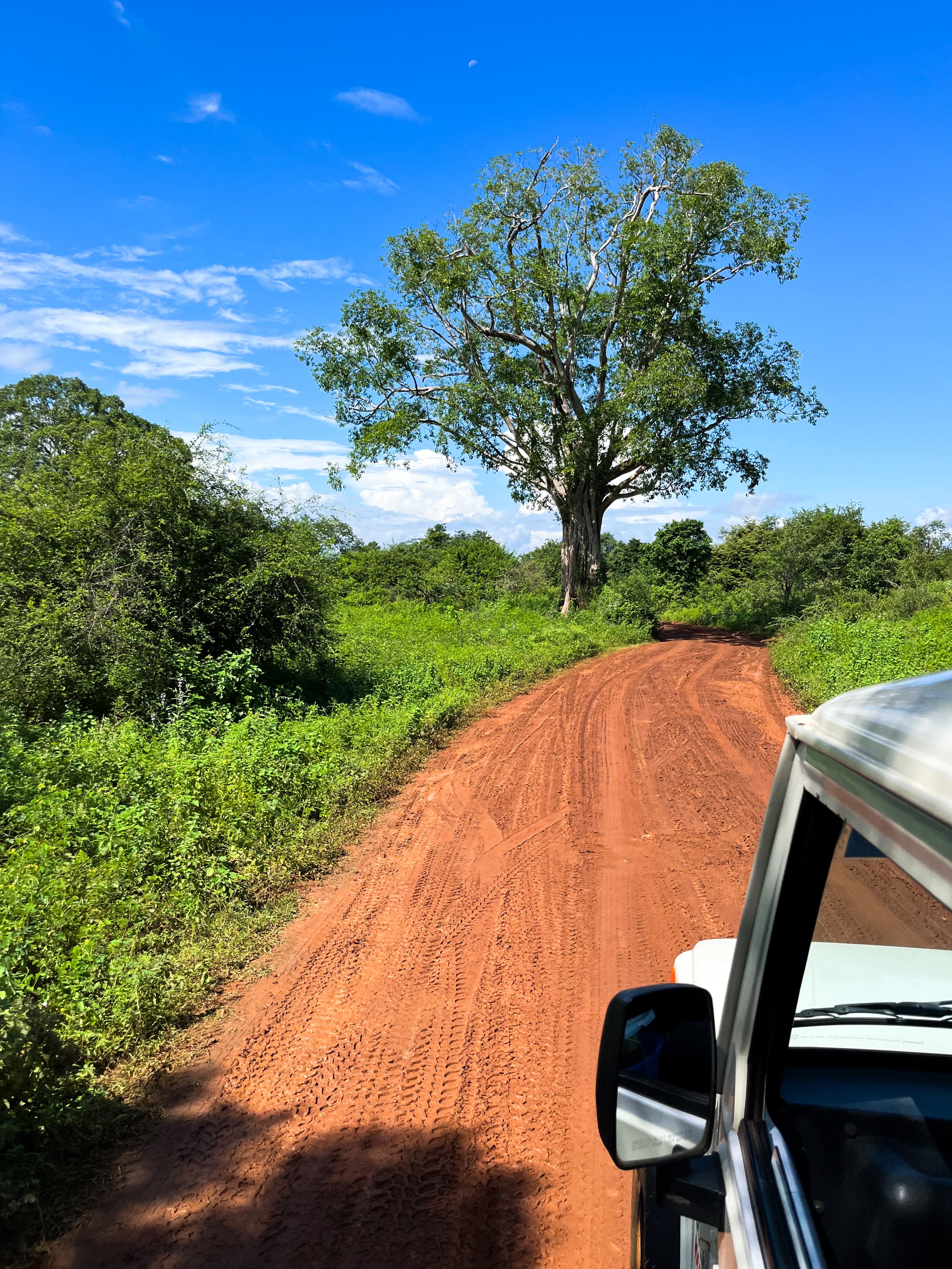 Safari time @ Sri Lanka