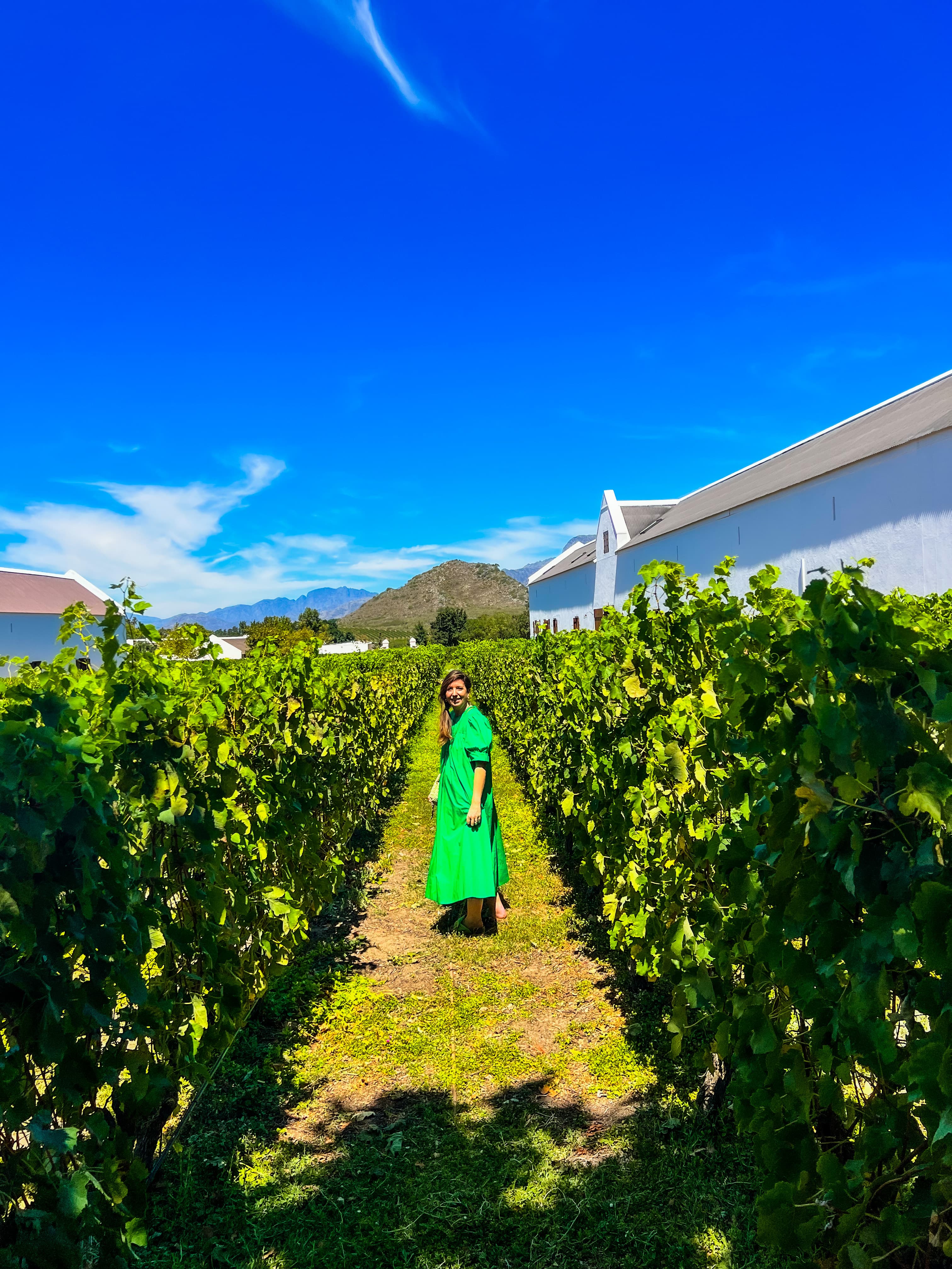 Tips for Franschhoek | Staying, eating, and exploring with the wine tram