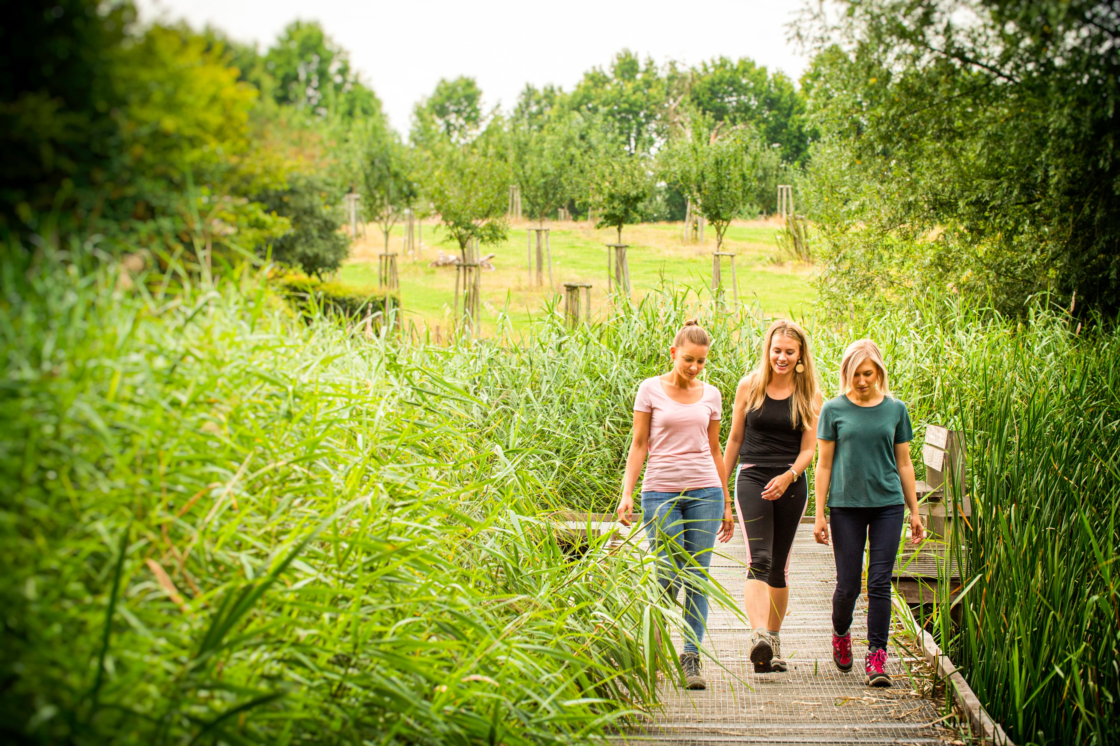 Randonnée et pique-nique