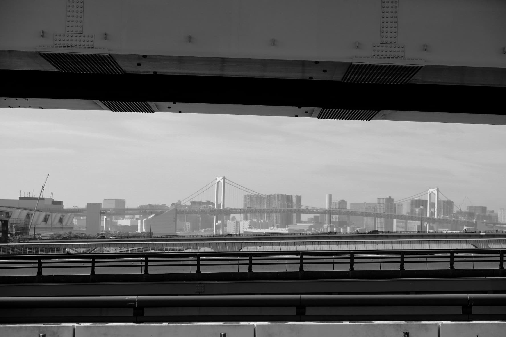 Sprankels, vis & Tokyo Tower