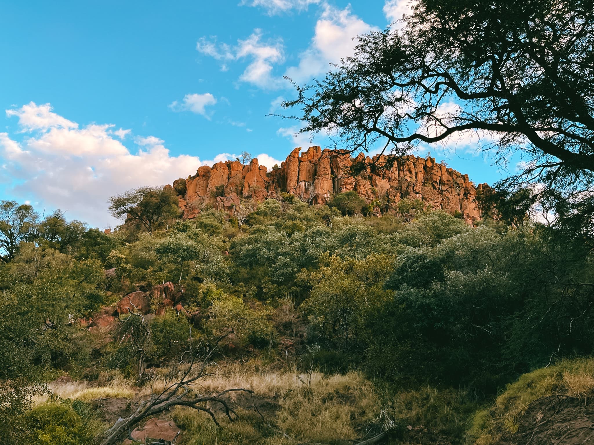 Plateau Waterberg, Namibie