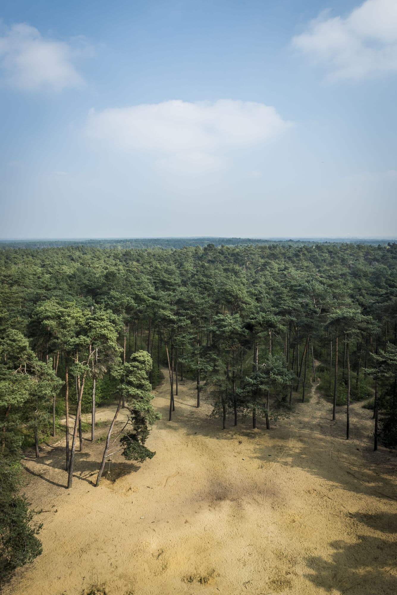 Randonnée, escalade et délicieux festin