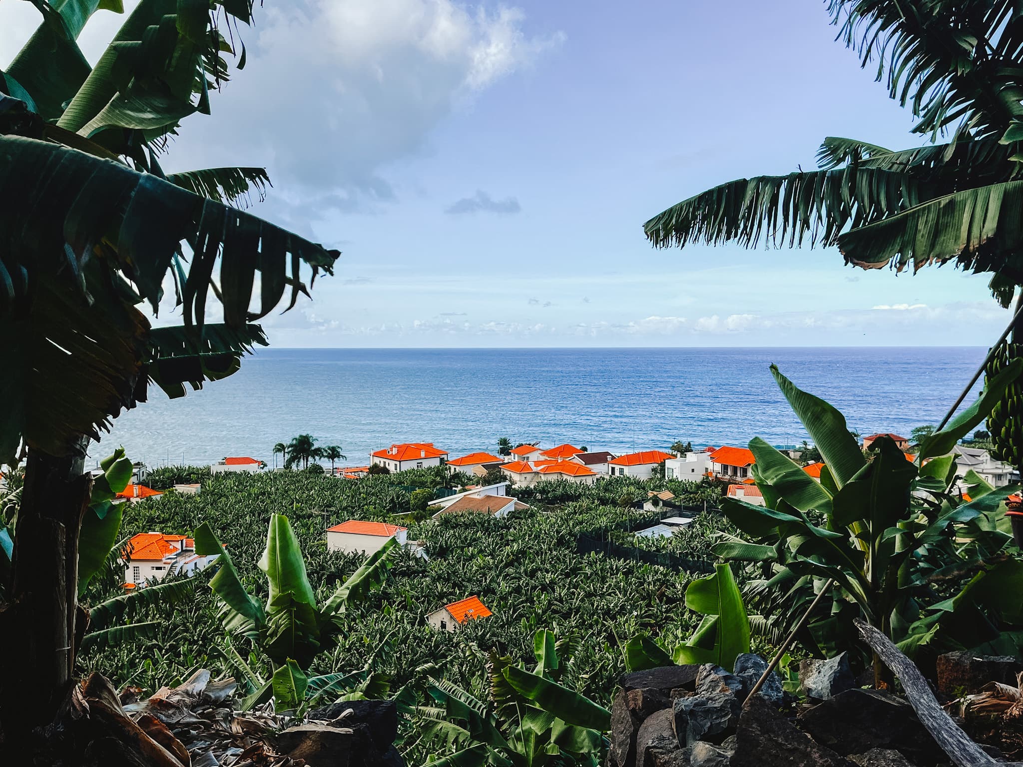 Discover Rota da Banana (RB2) on Madeira