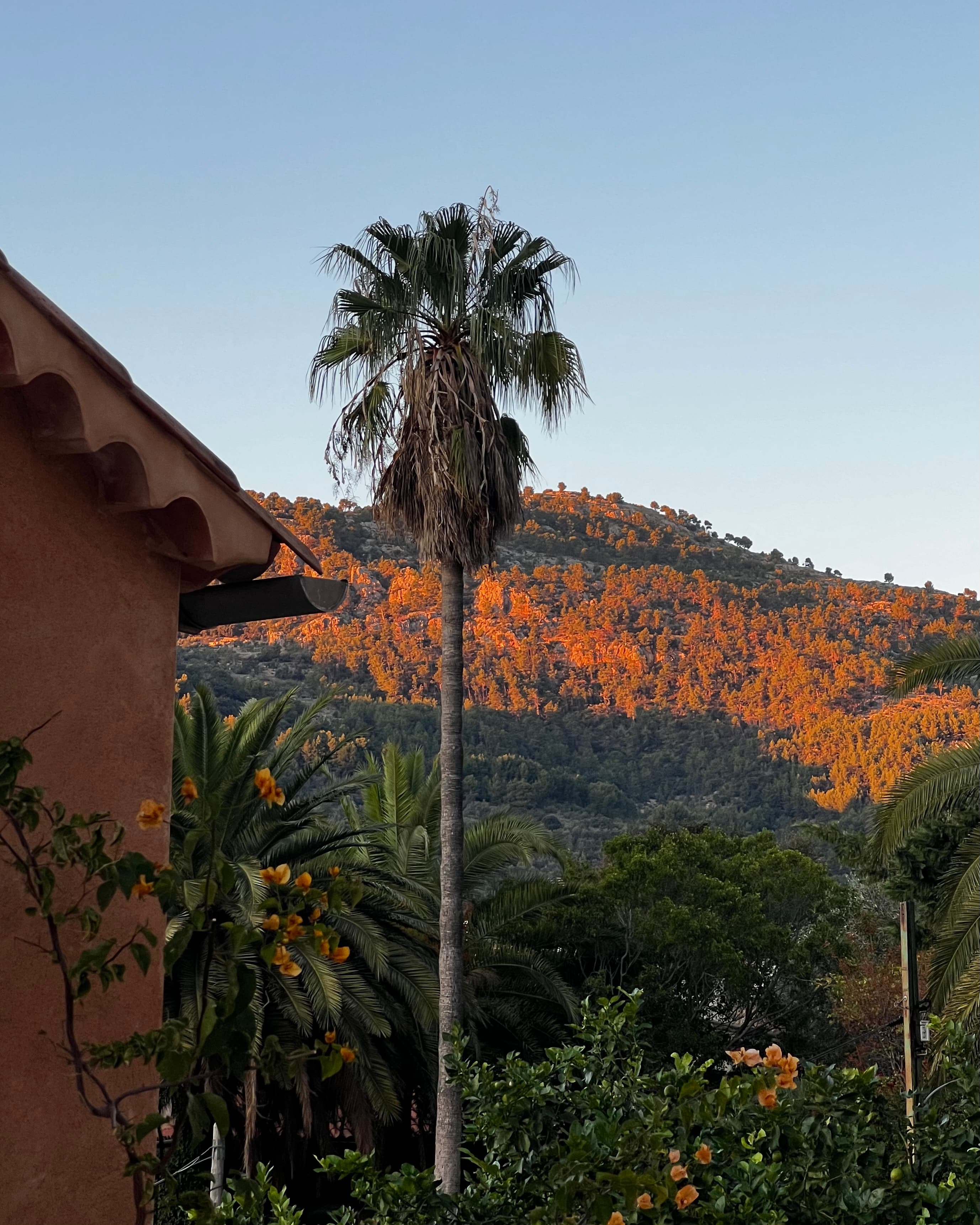 Favoriete plek in Biniaraix, Mallorca