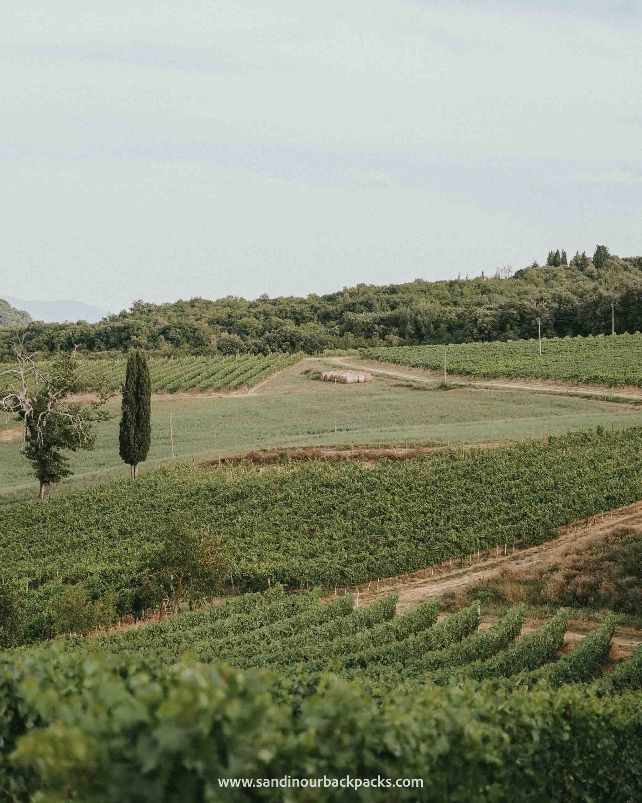 Dégustation de vin en Toscane