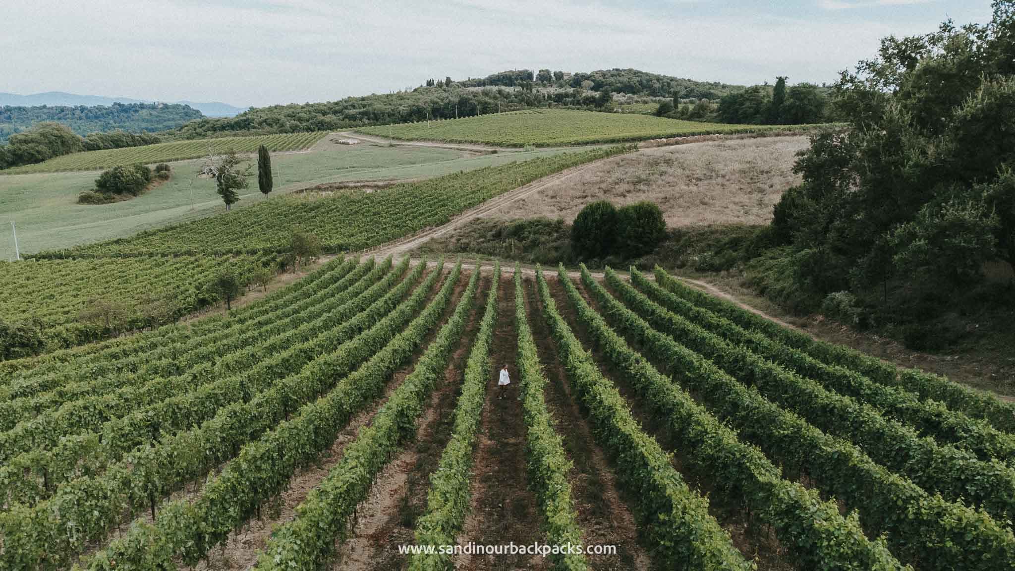 Dégustation de vin en Toscane