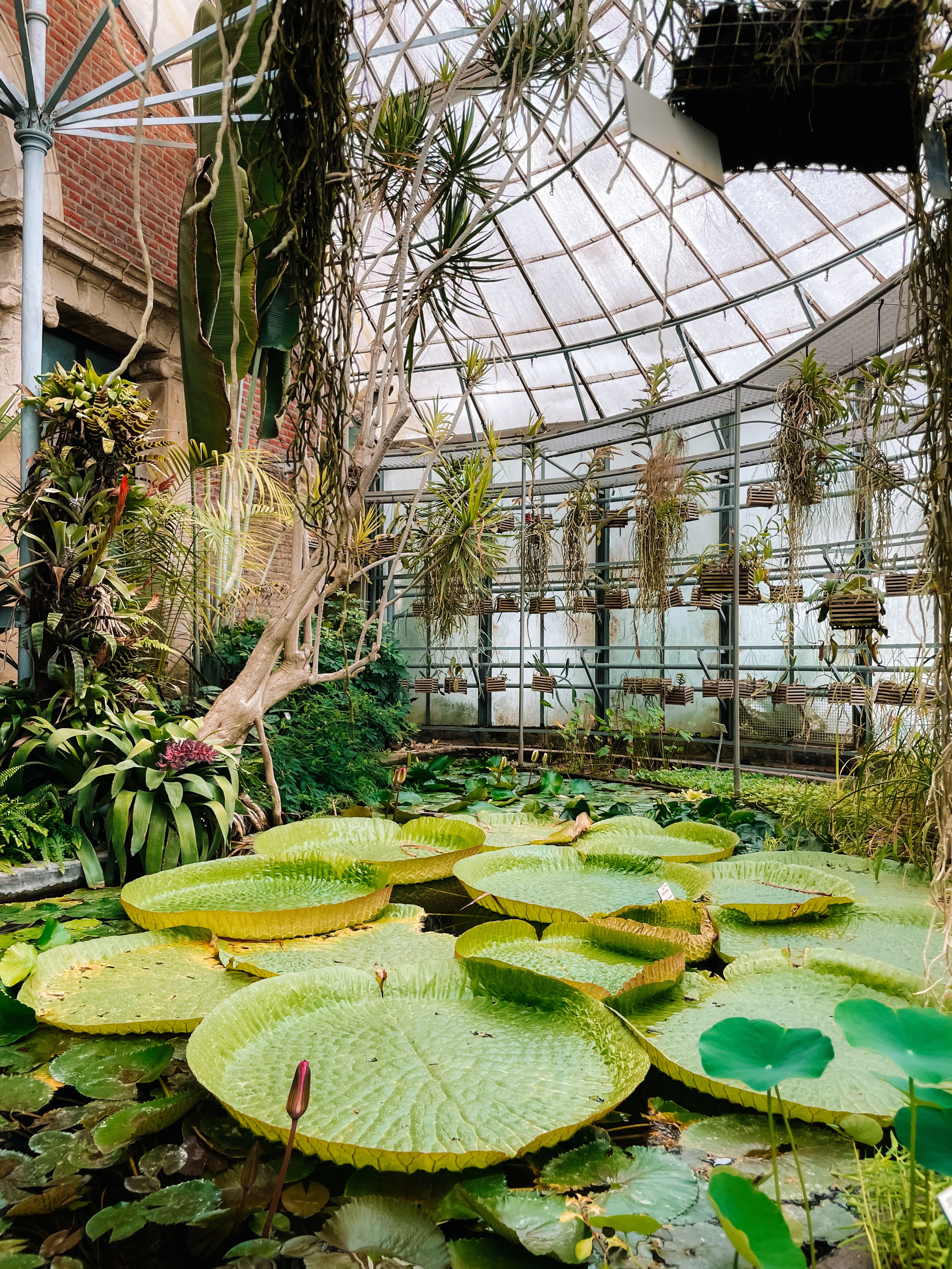 Un week-end d'été à Louvain