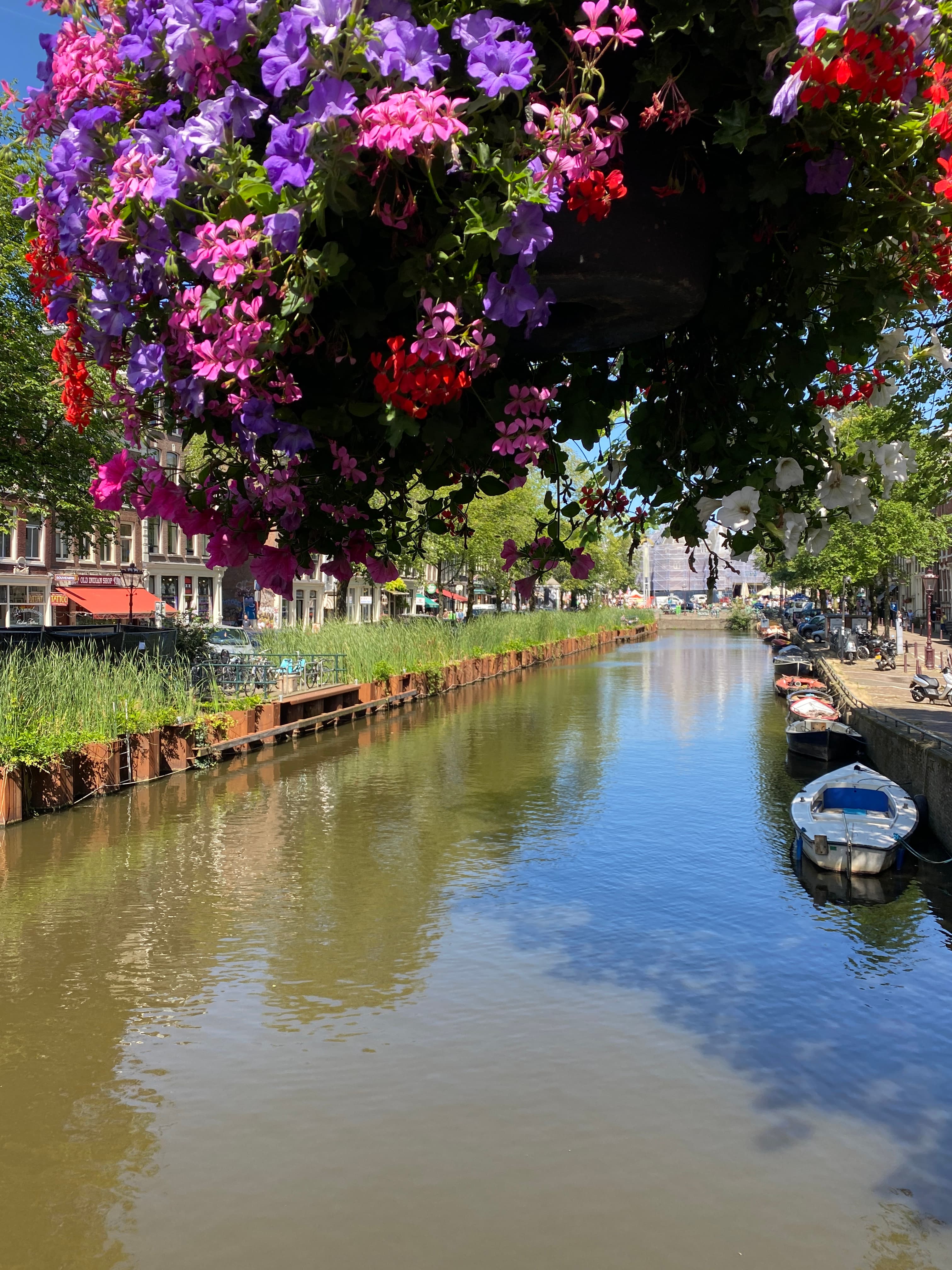 Unique things to do in Amsterdam? Check out these hidden gems!