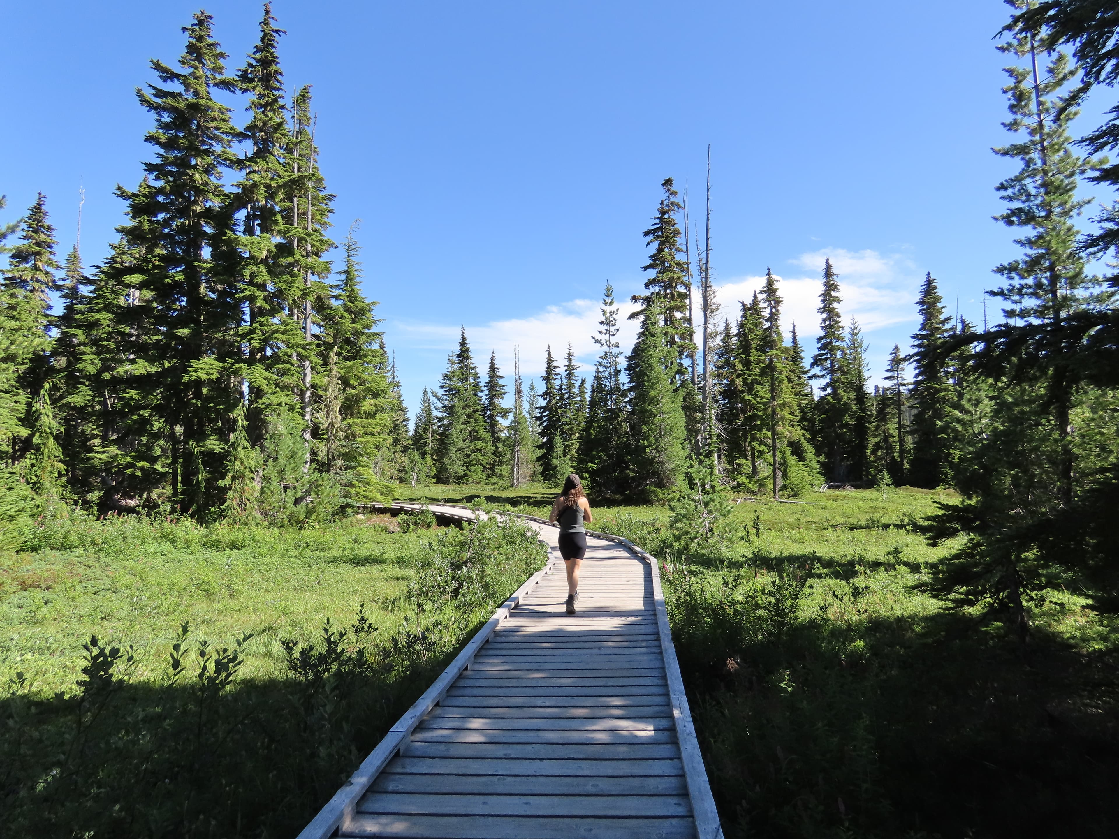 Vancouver Island: een eerste indruk