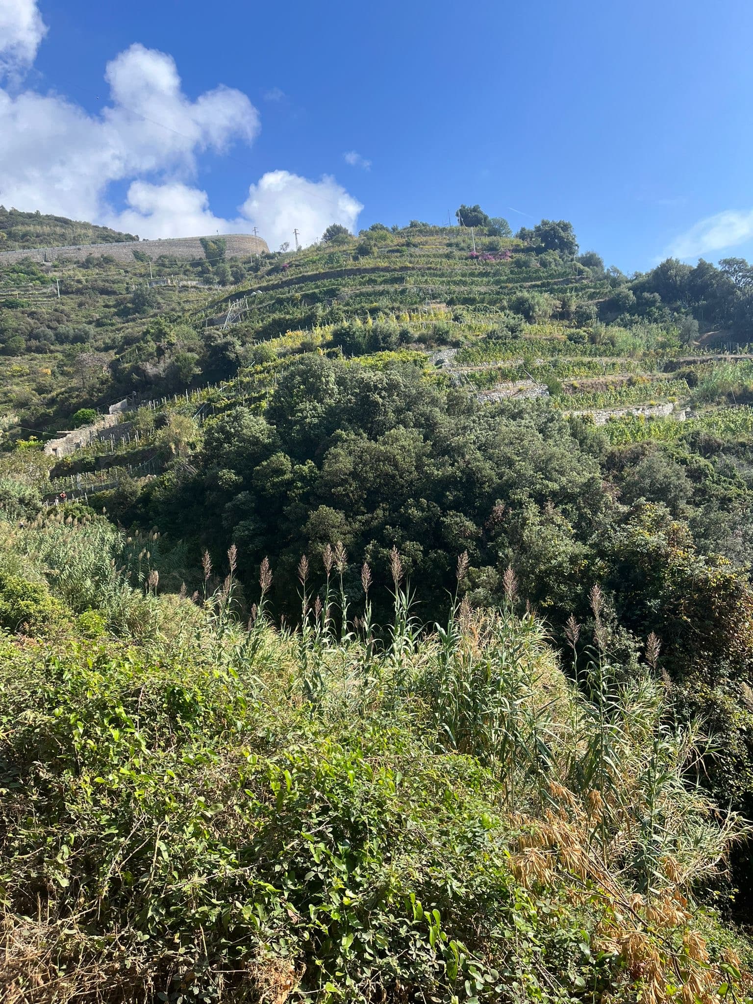 Stedentrip Genua