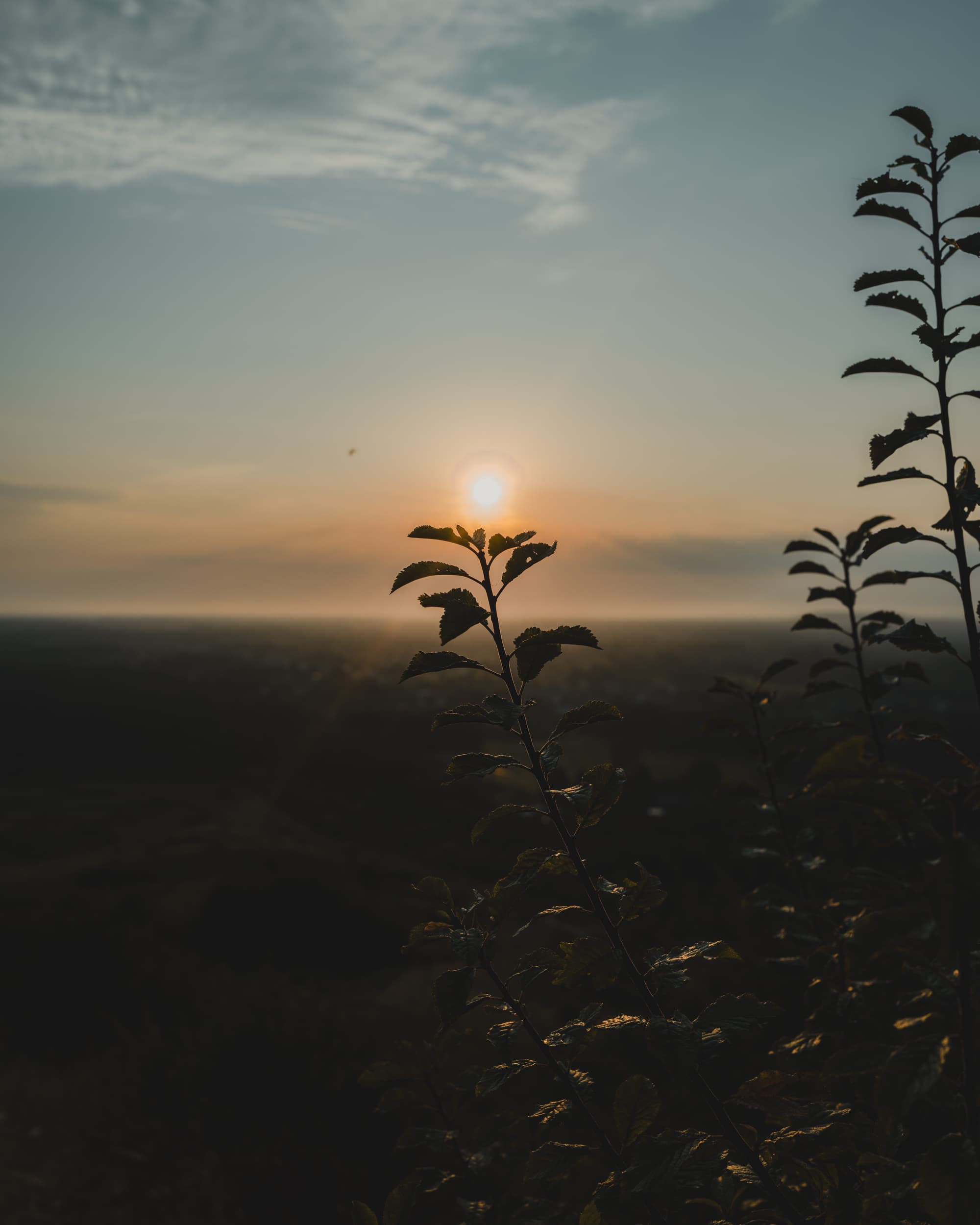 Day 2 | Sunrise - Breakfast - Diving at TODI - Lunch at Sofram - Climbing at Alpamayo