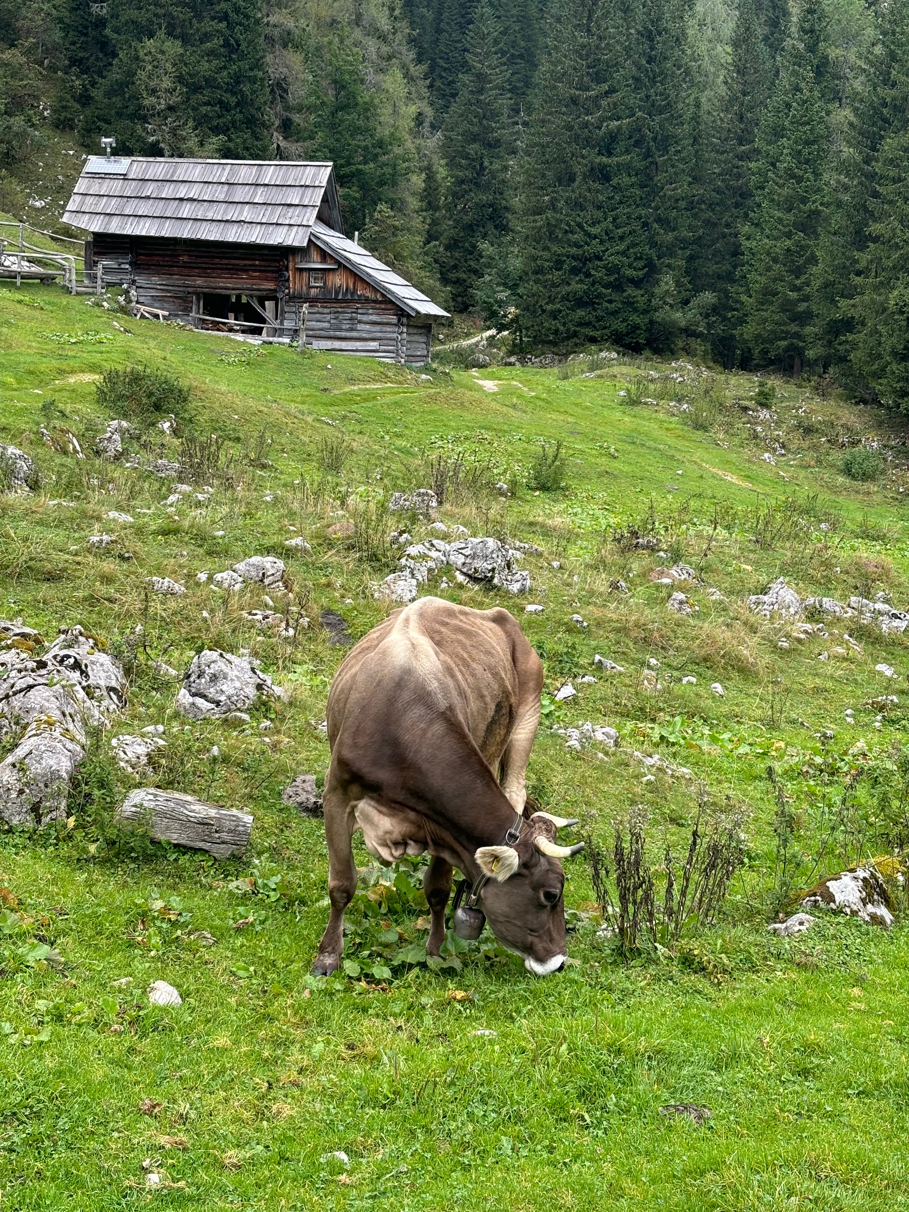 7 lakes hike at Lake Bohinj