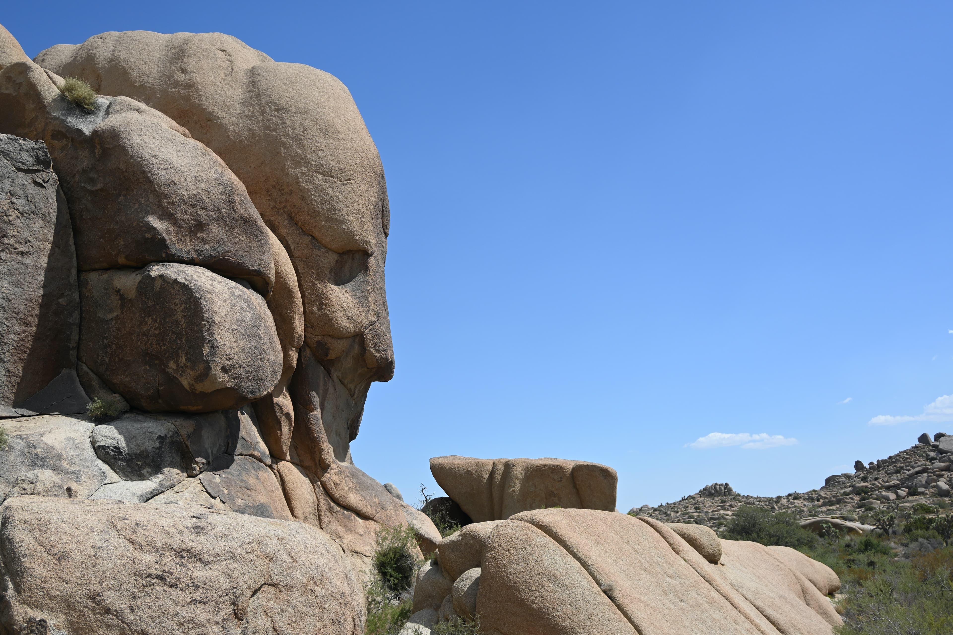 Joshua Tree - Palm Springs 🌵