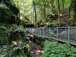 Une dernière promenade et vers le grand terrain de jeux naturel
