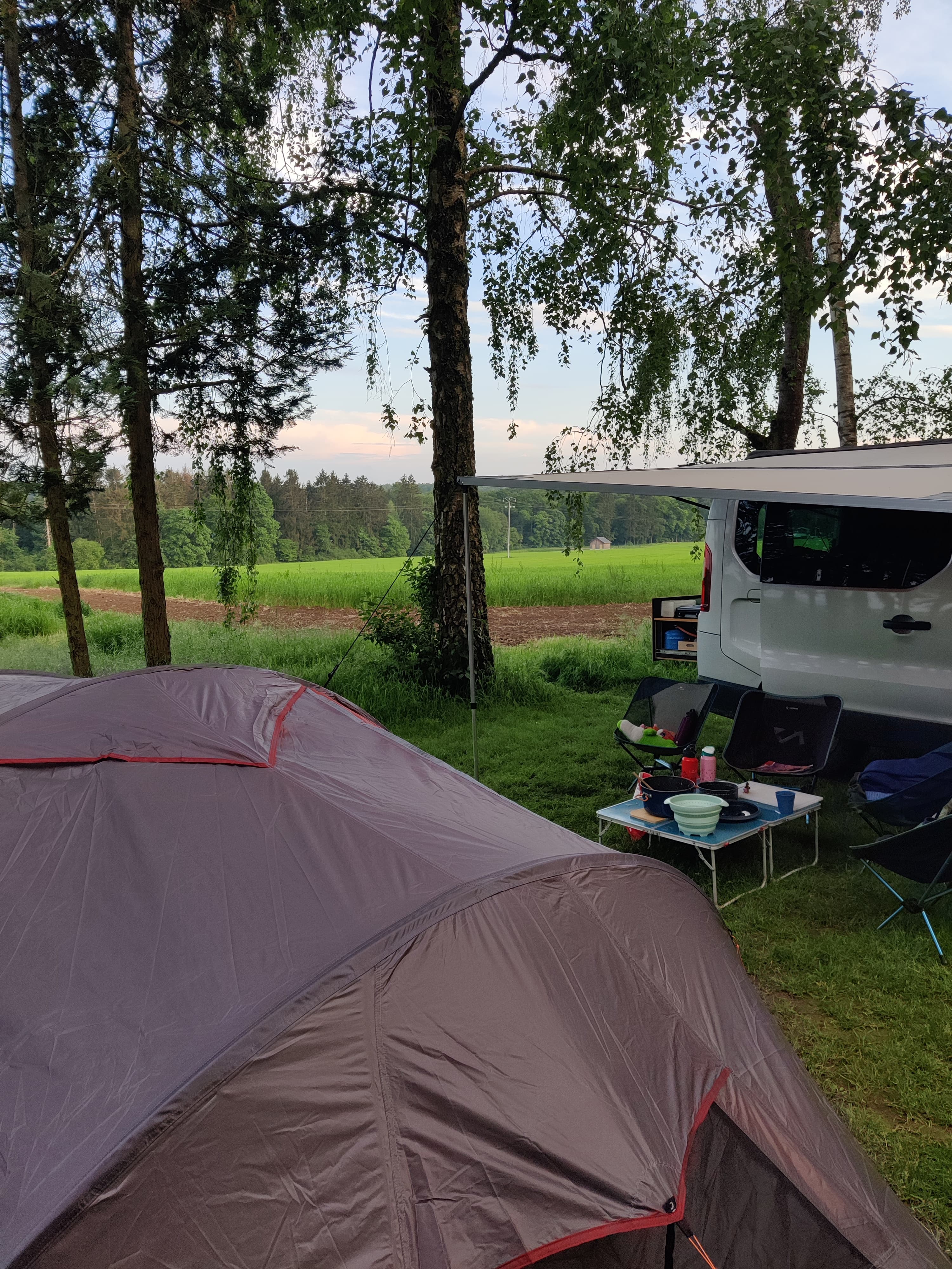 Set up the tent and explore the campsite!