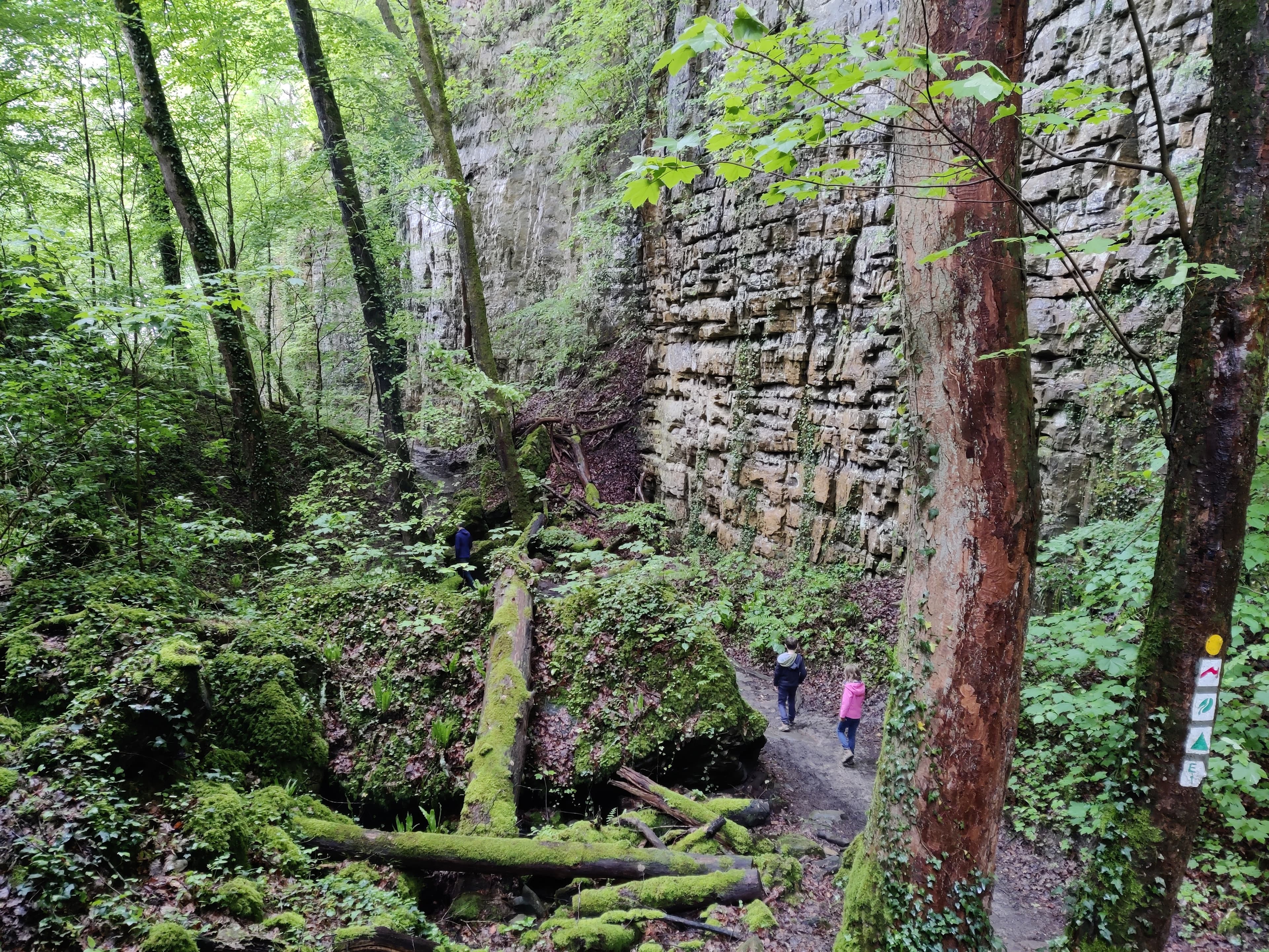 Hiking in the forests of Mullerthal