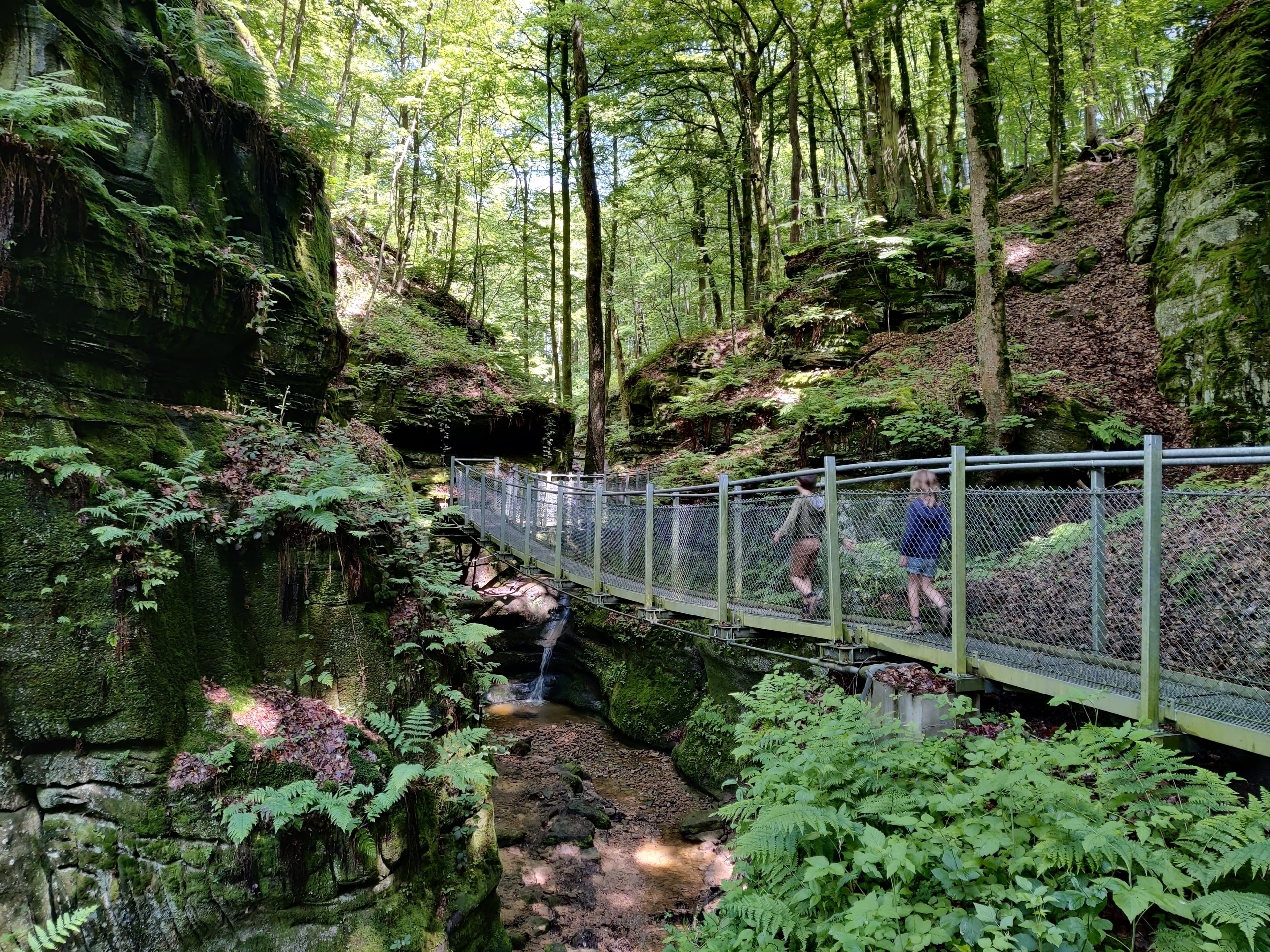 Une dernière promenade et vers le grand terrain de jeux naturel