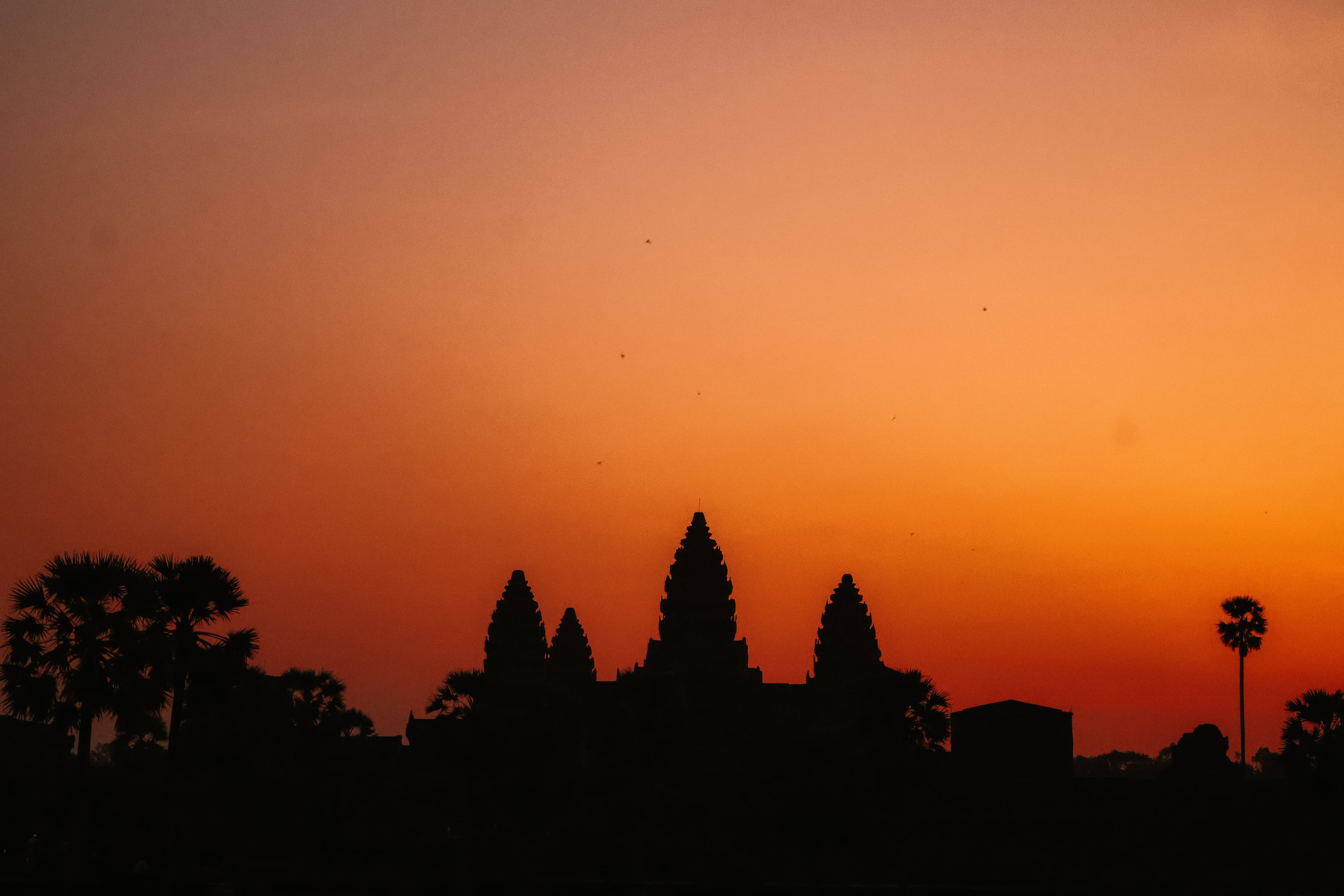 Wat te doen in Siem Reap