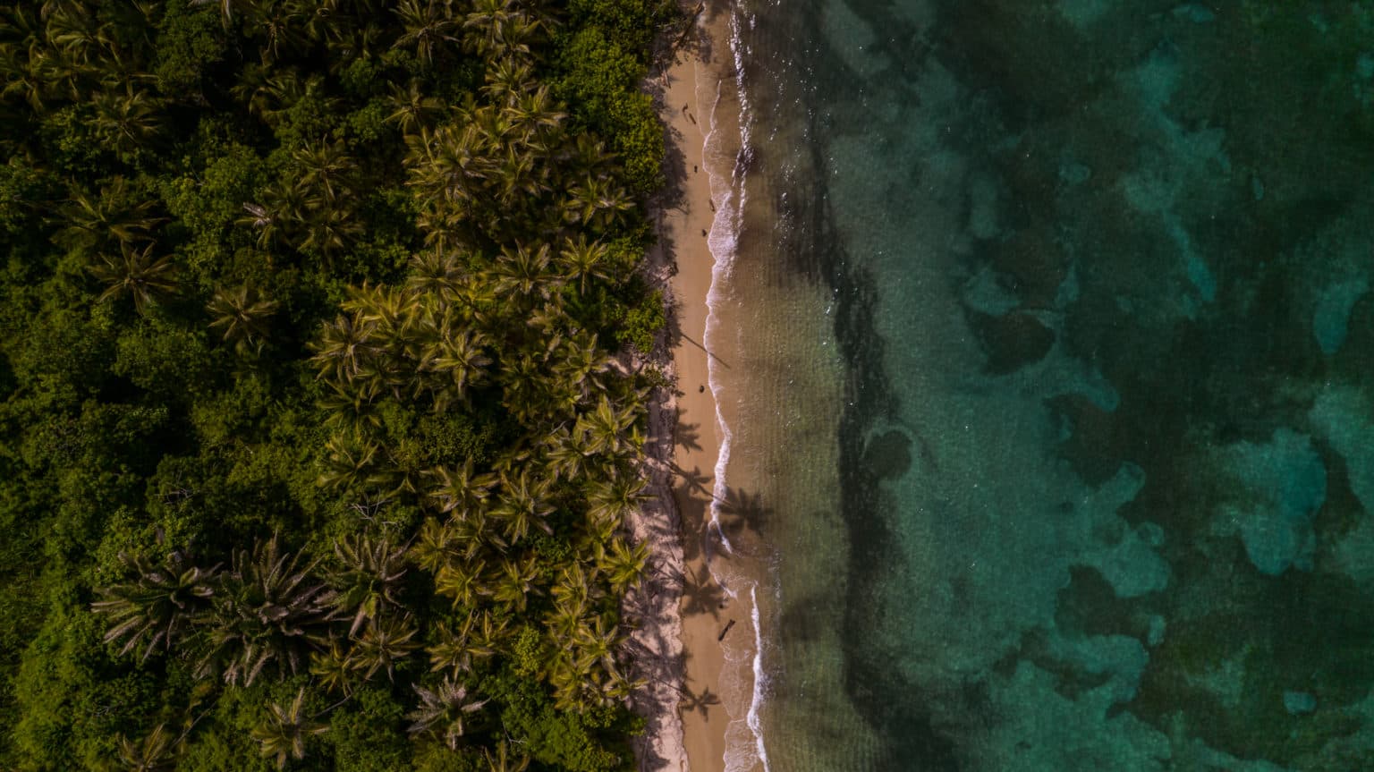 Alle praktische tips voor een bezoek aan het Tayrona National Park