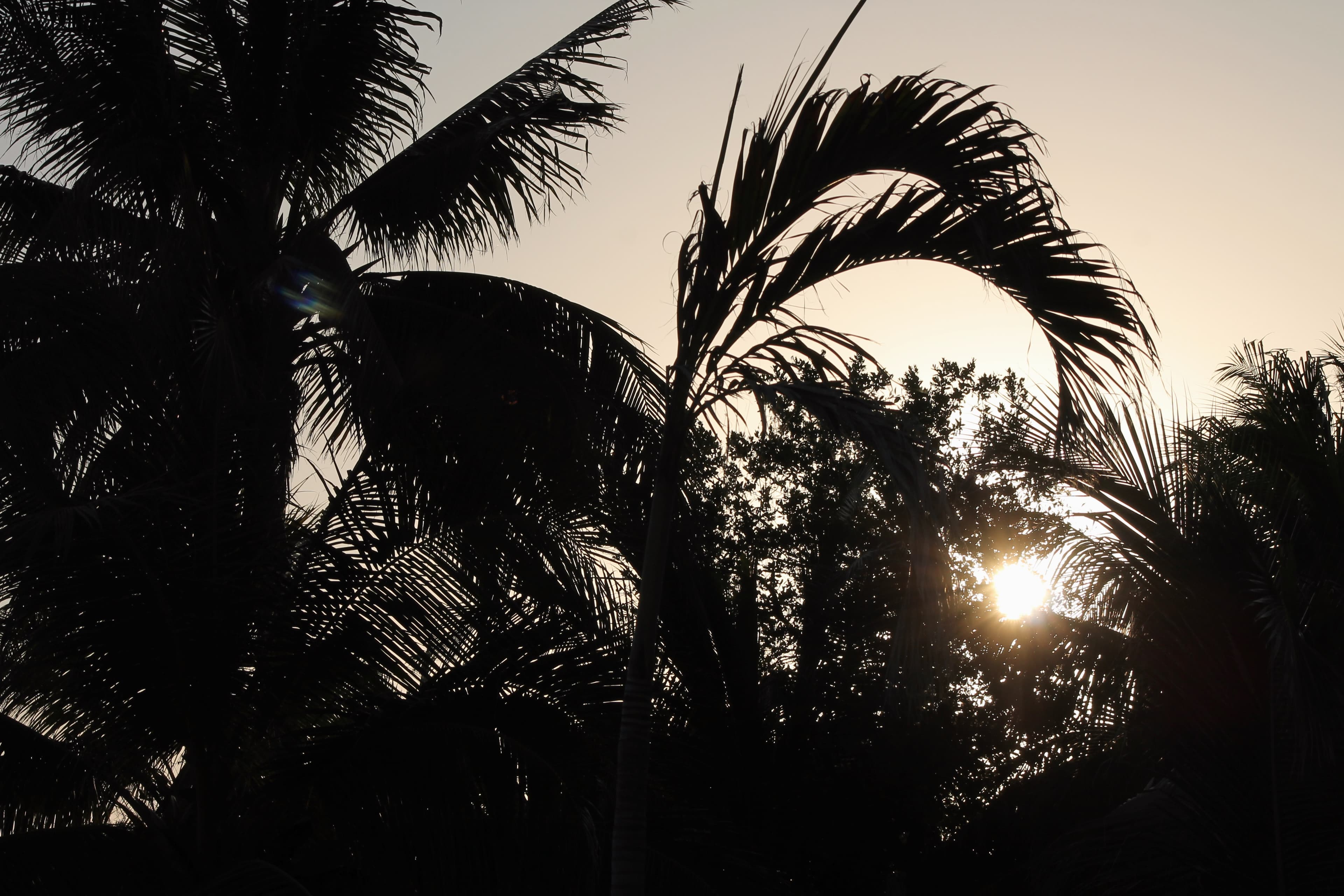 One week in Yucatán