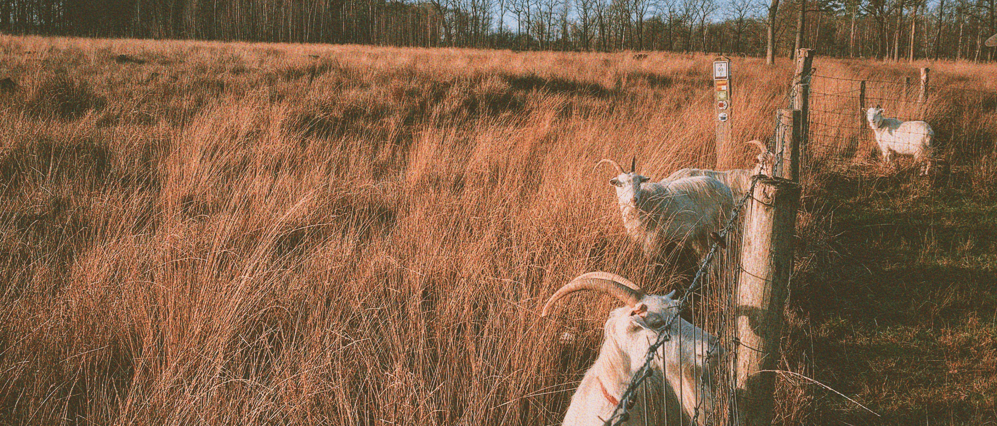 Plus de promenades et une visite de musée