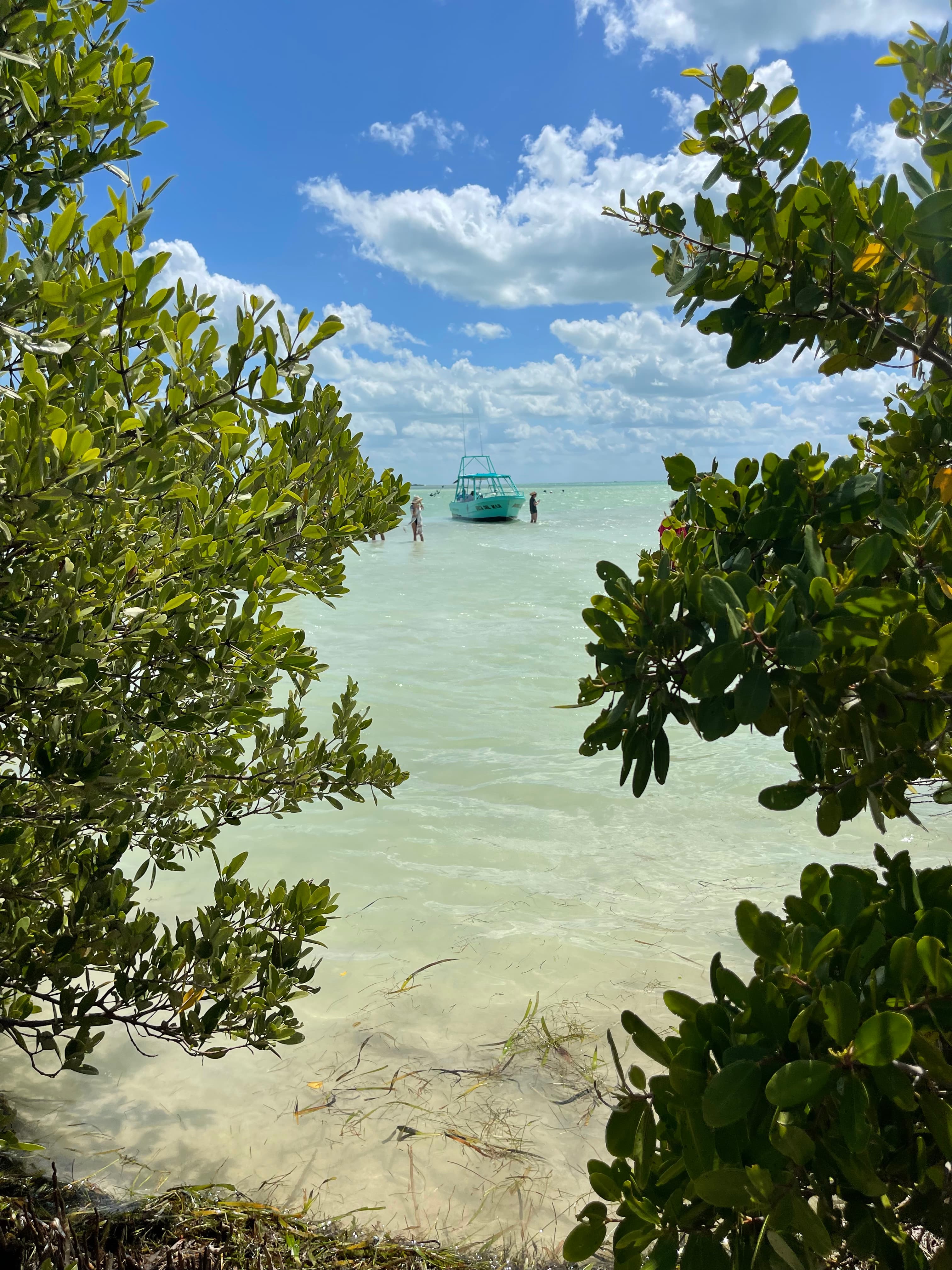 One week in Yucatán