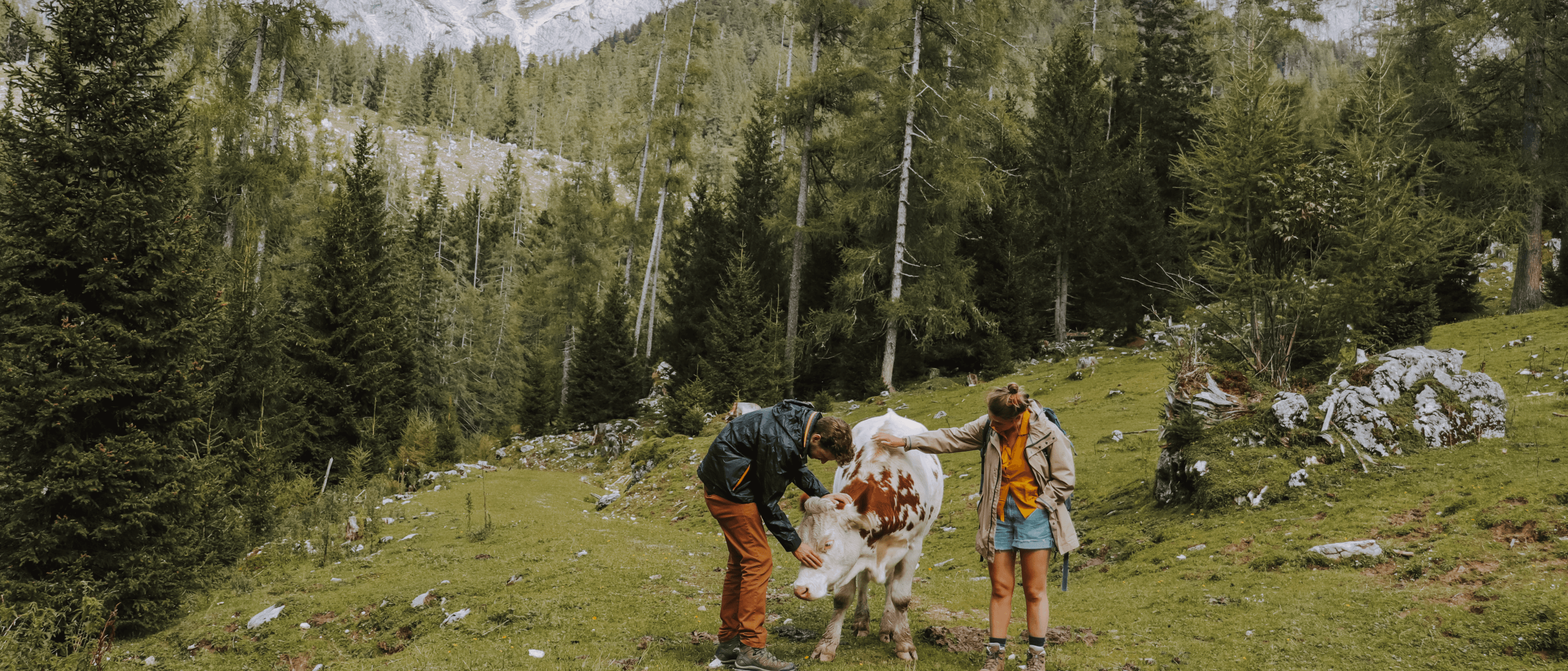 Short circular hike to Bachlalm