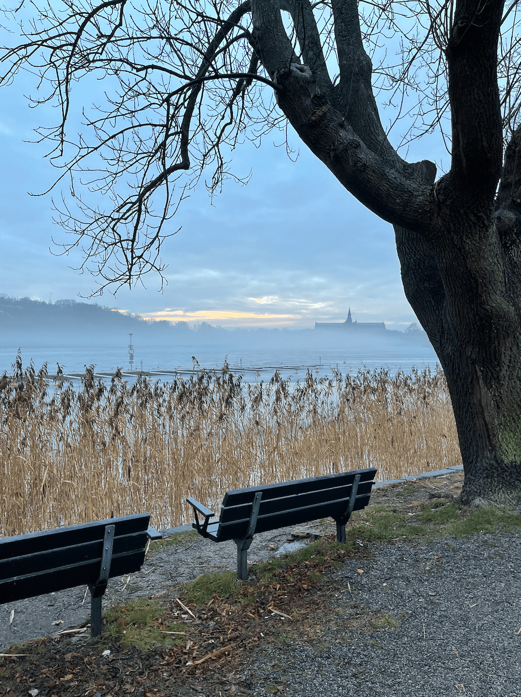 Nature, Swedish food and... ABBA!