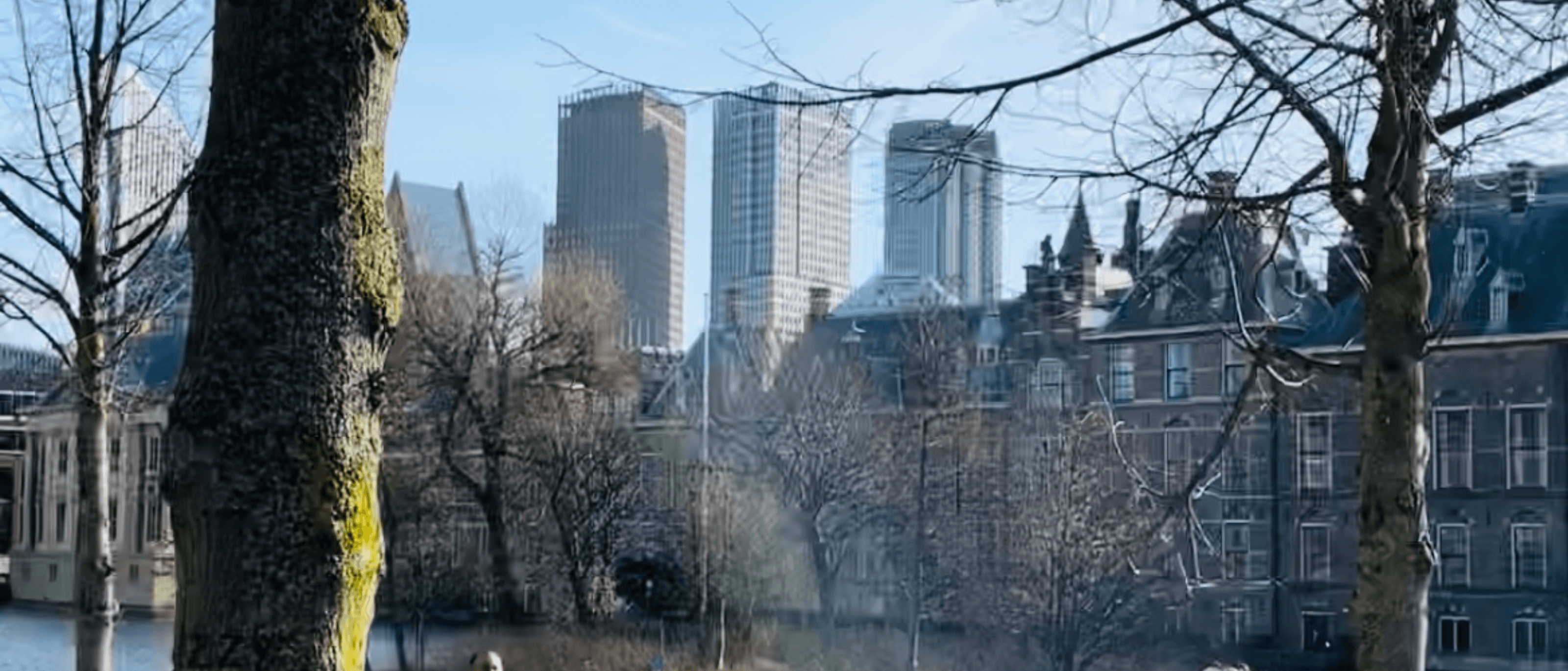 Een dagje Den Haag