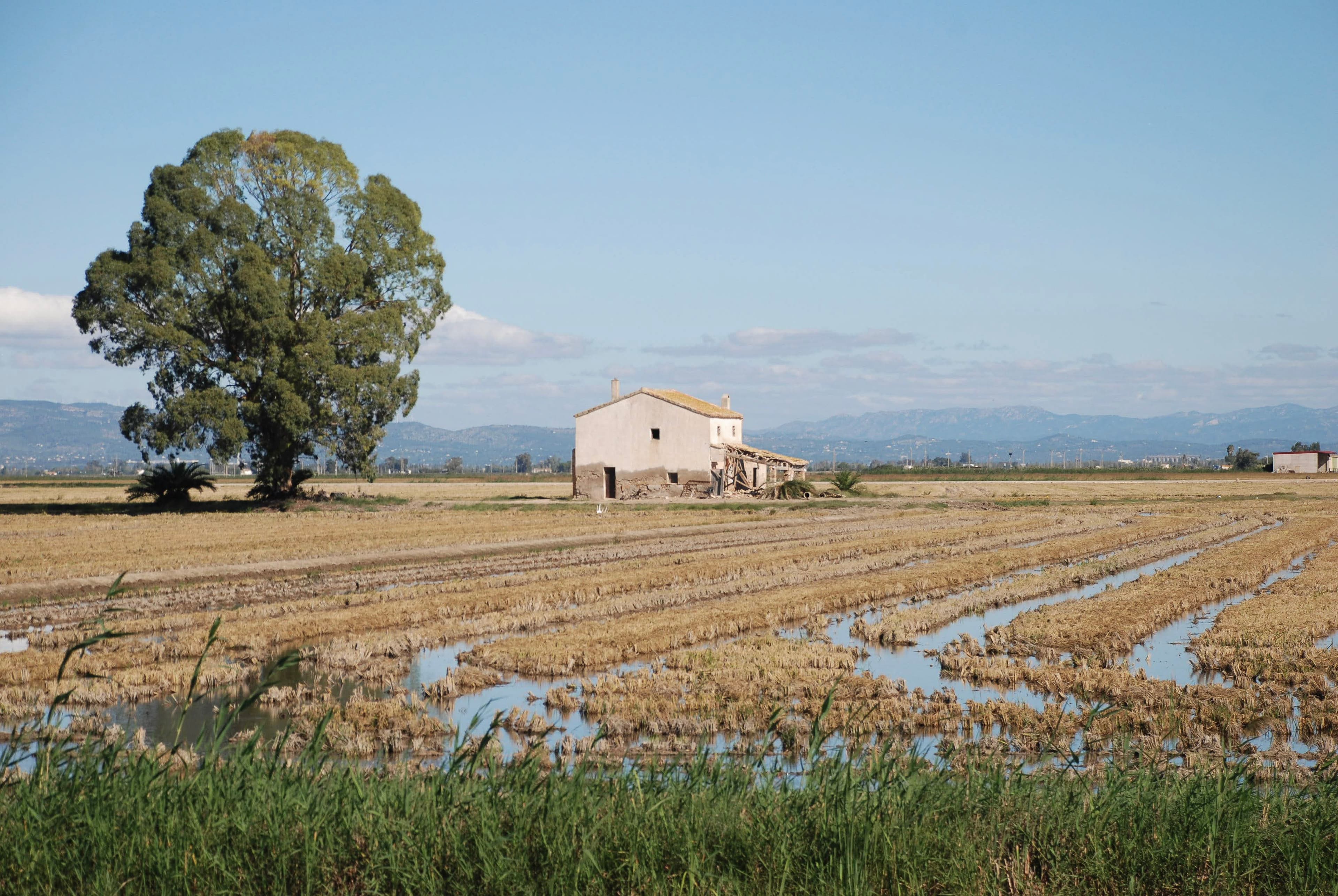 Catalunya Experience