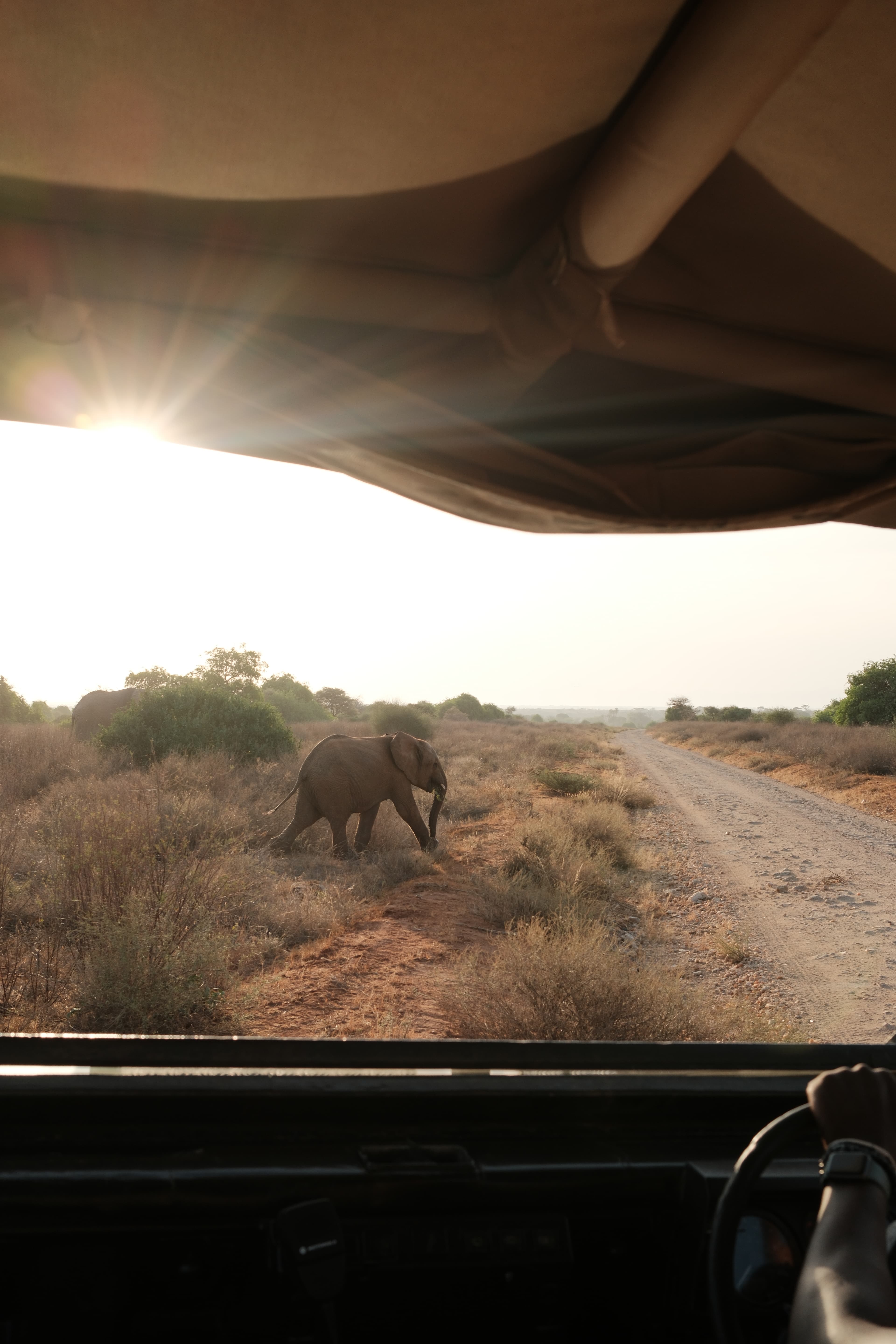 Parc National de Samburu