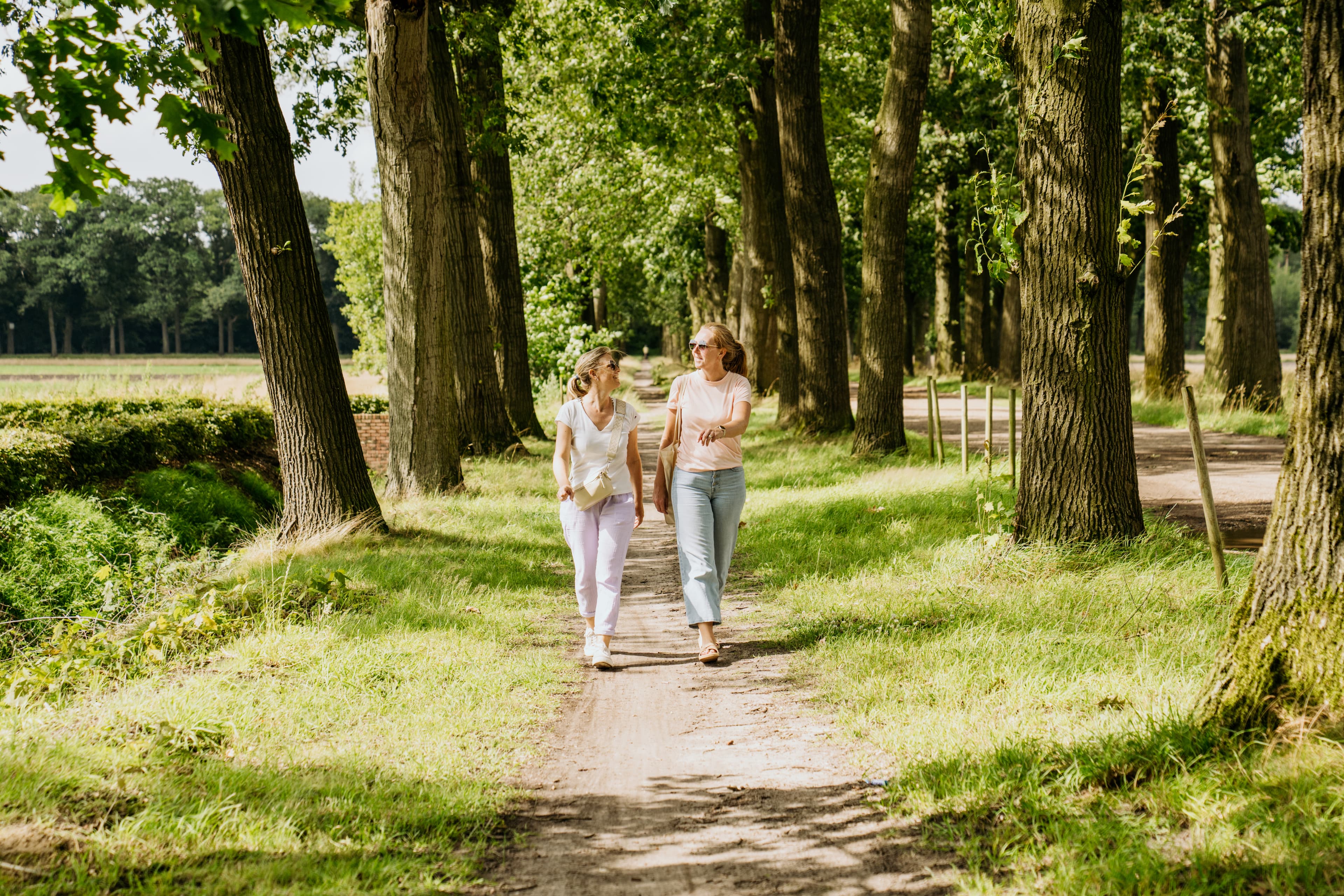 48 uur in hartelijk Hoogstraten
