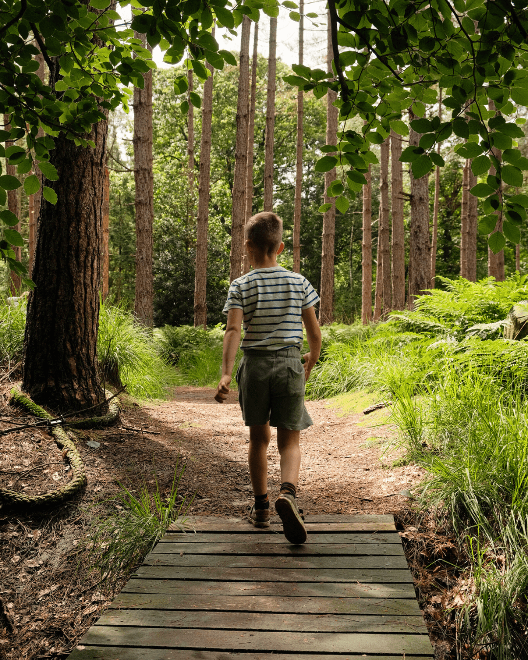 Sentier des petits jambes
