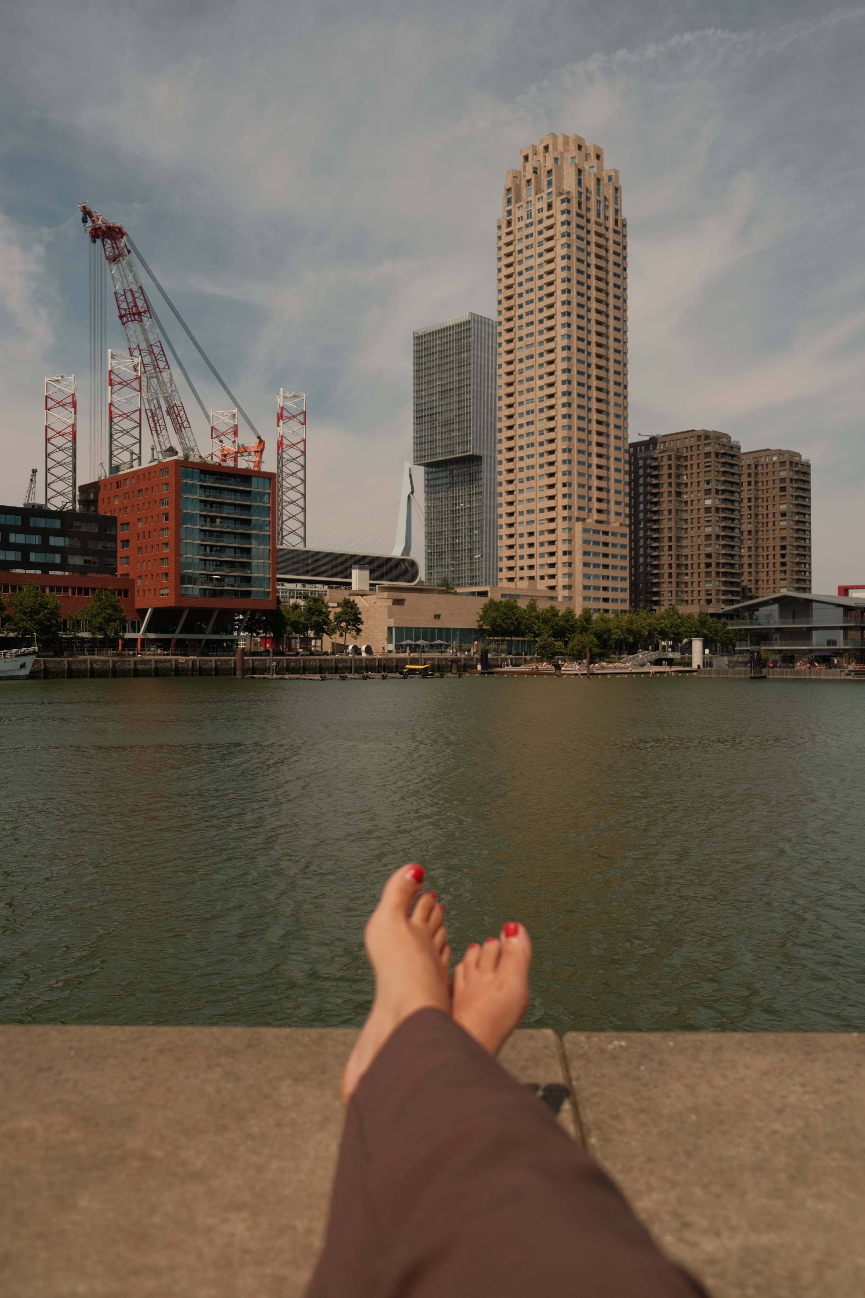 Lunch bij Fenix Food Factory