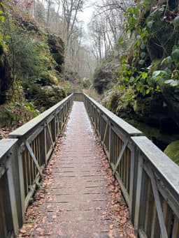 Day 3 - Small hike and departure