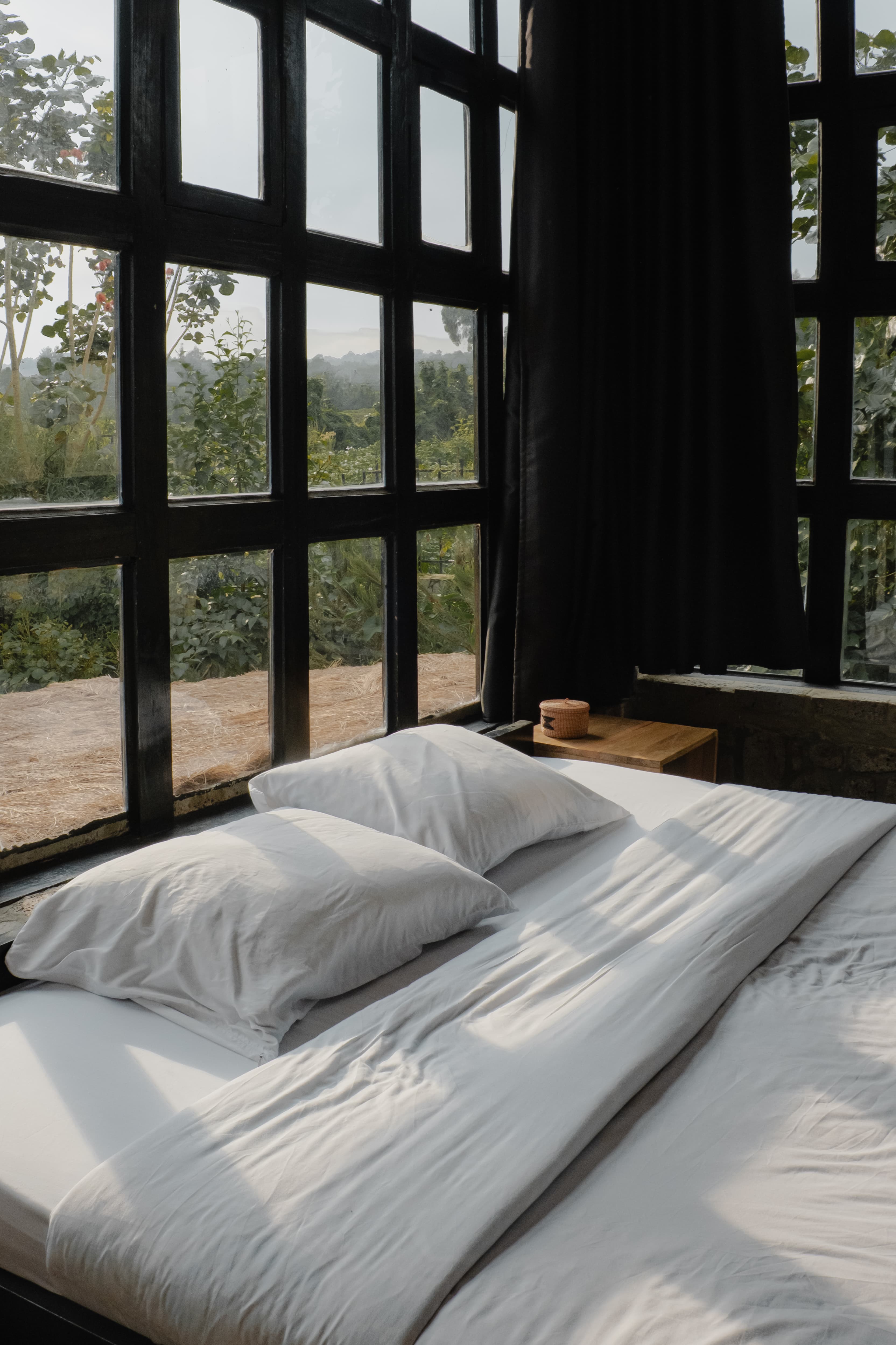 Parc National des Volcans