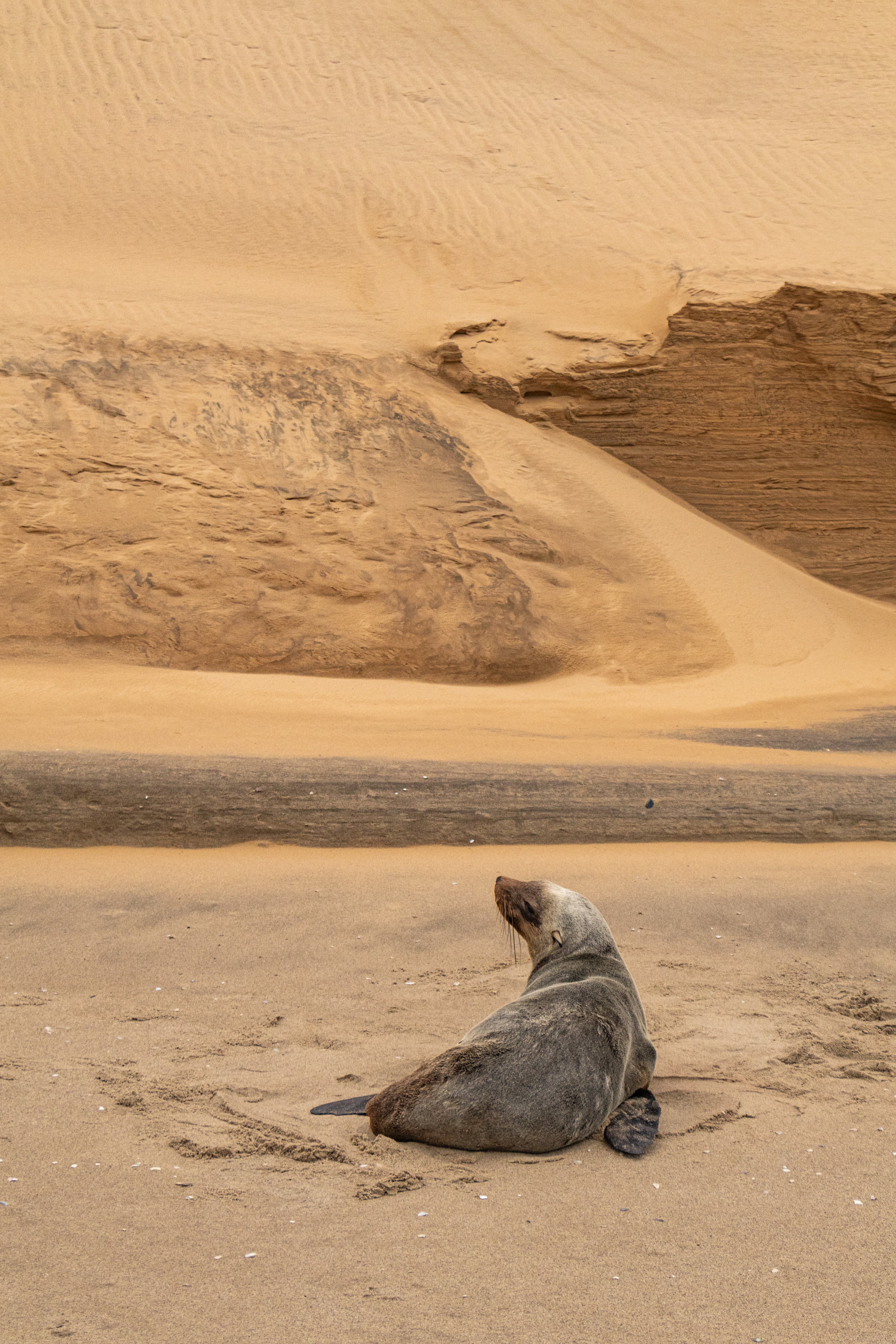 Roadtrip through Namibia