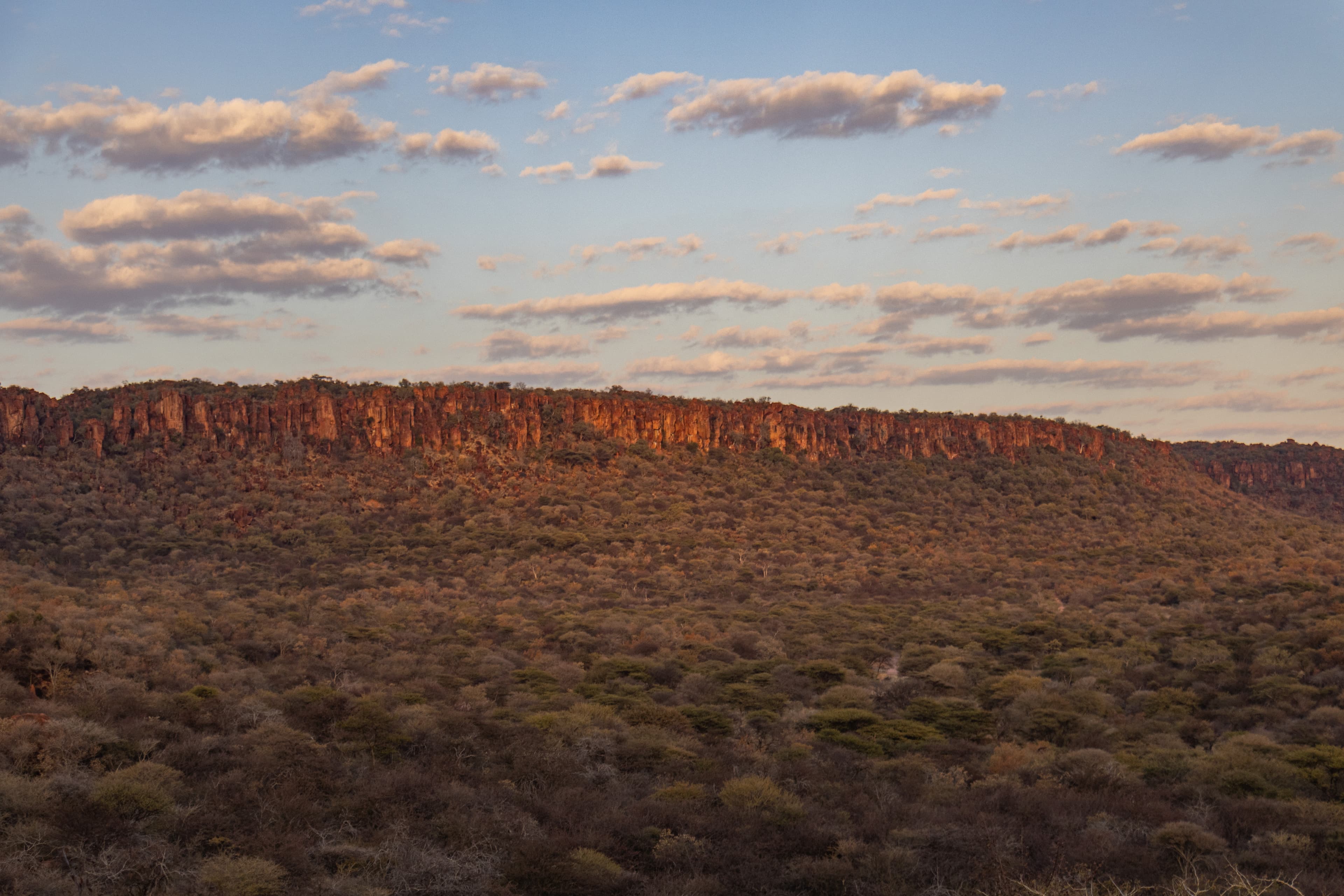 Roadtrip through Namibia